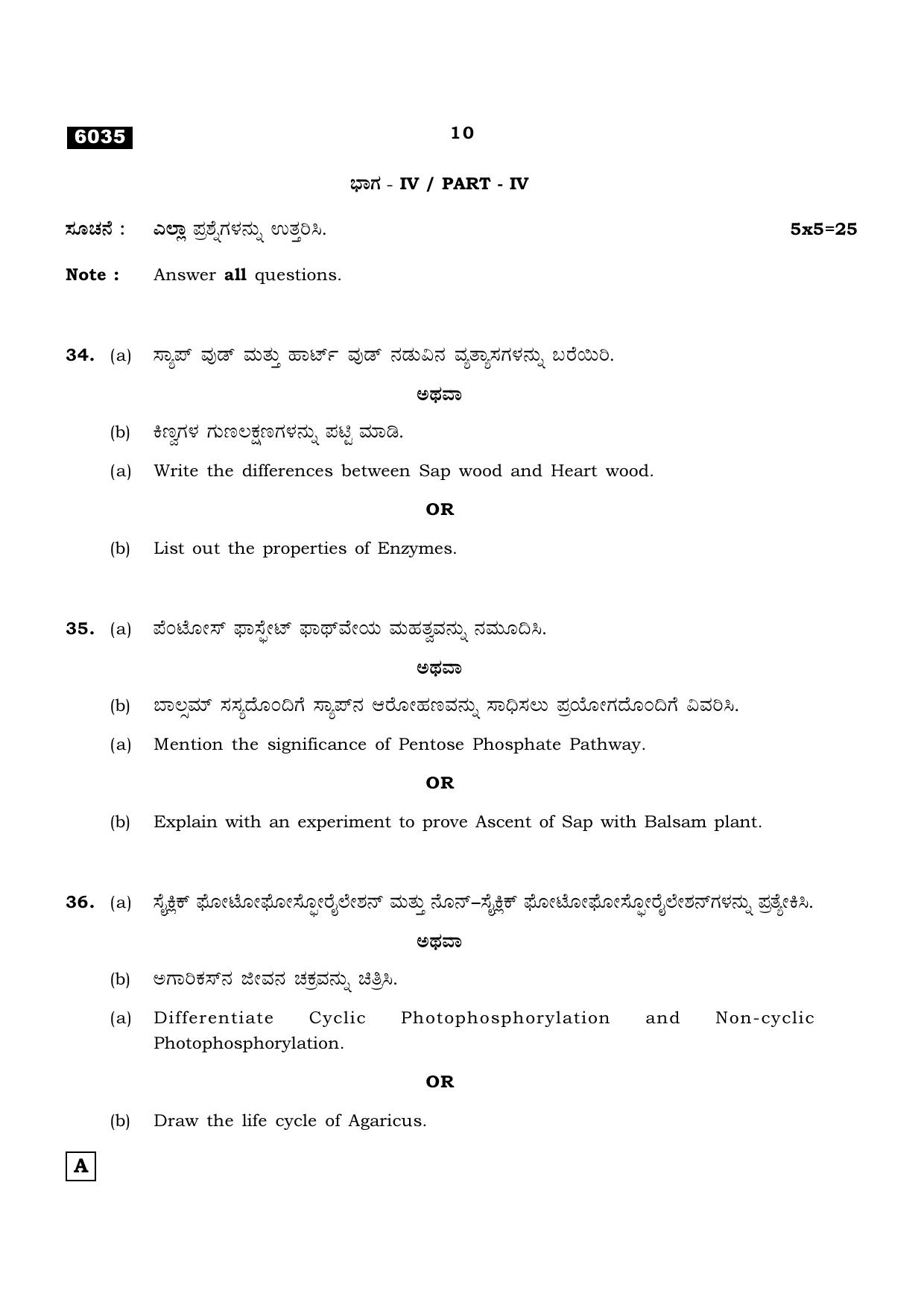 TN Class 11 2022 Question Papers (All Subjects) - Page 981