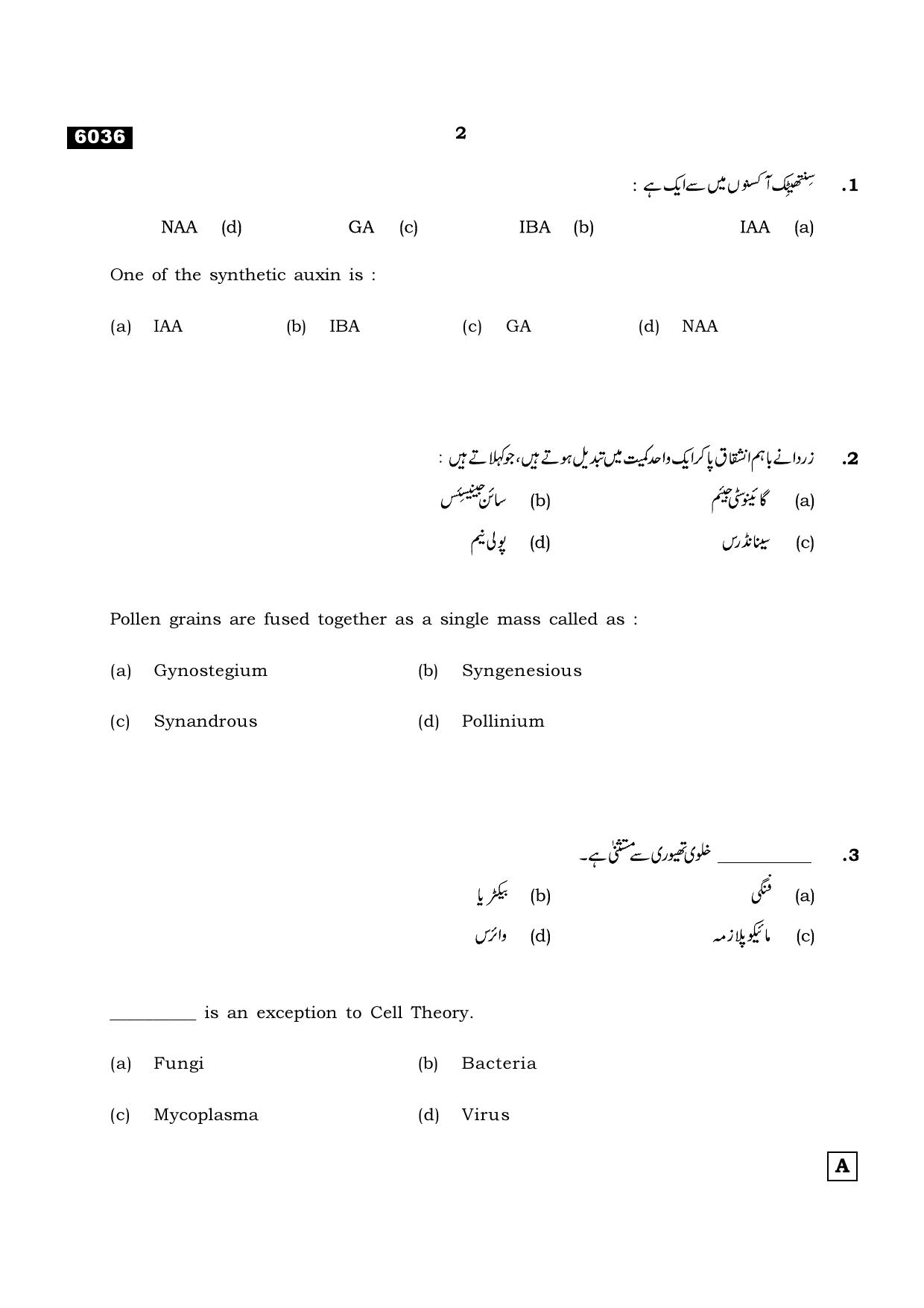 TN Class 11 2022 Question Papers (All Subjects) - Page 1009
