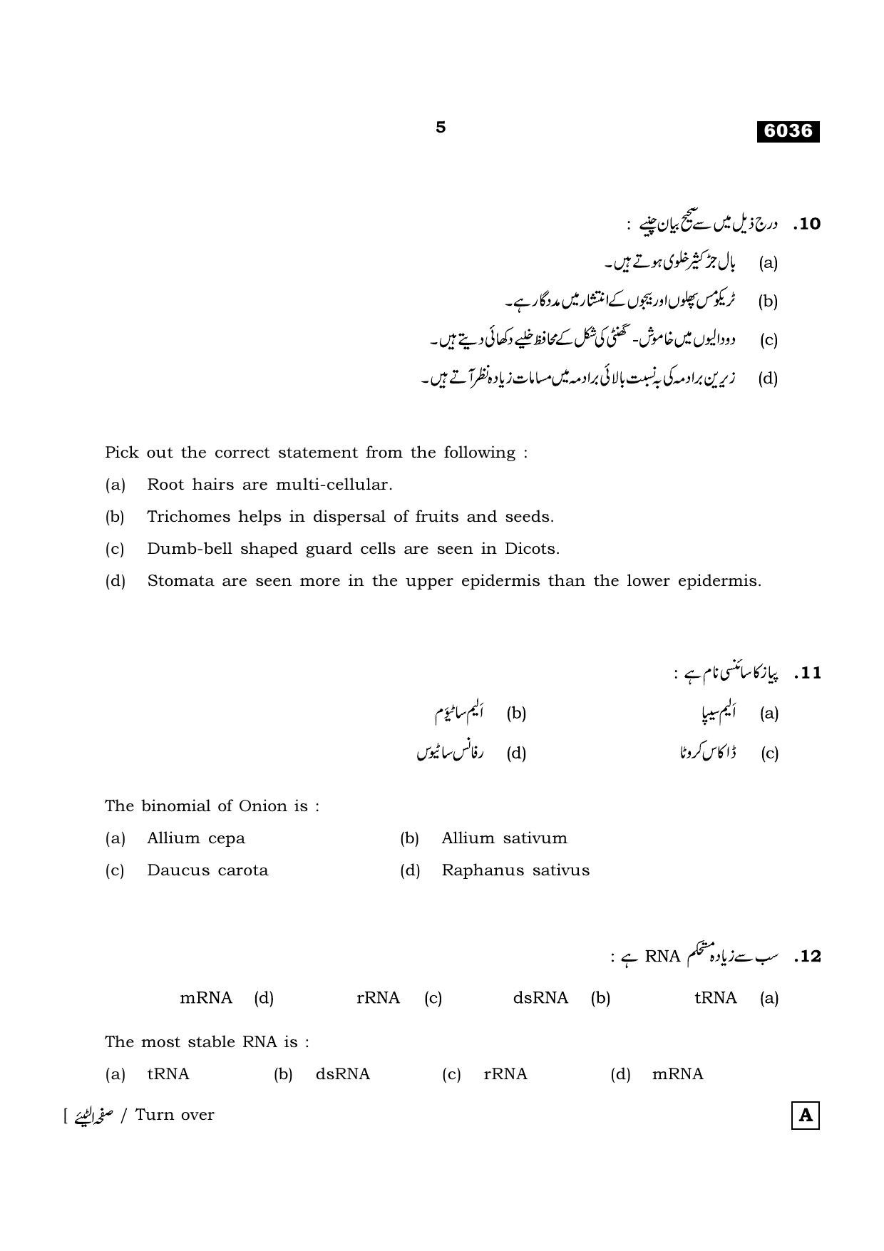 TN Class 11 2022 Question Papers (All Subjects) - Page 1012