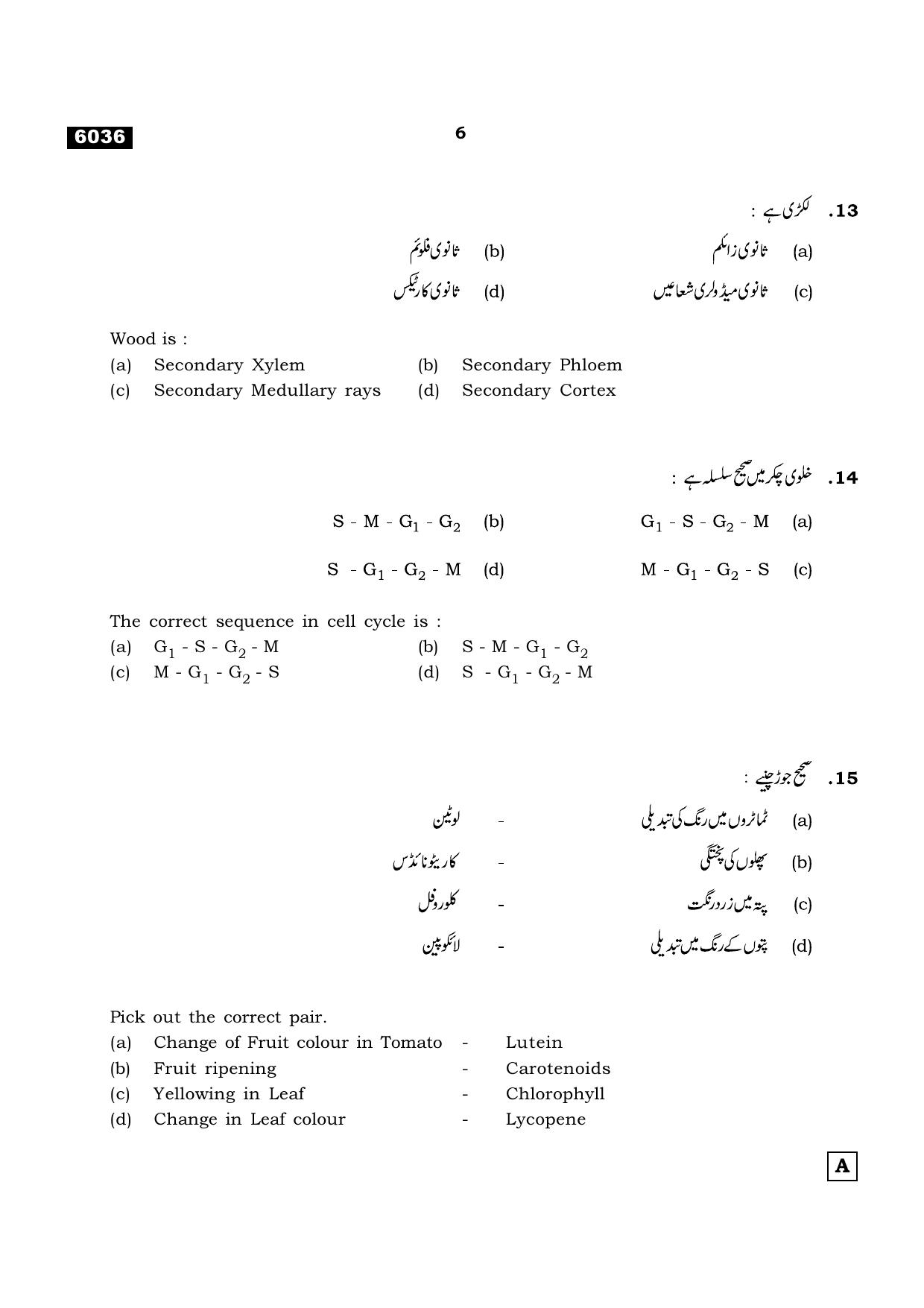 TN Class 11 2022 Question Papers (All Subjects) - Page 1013