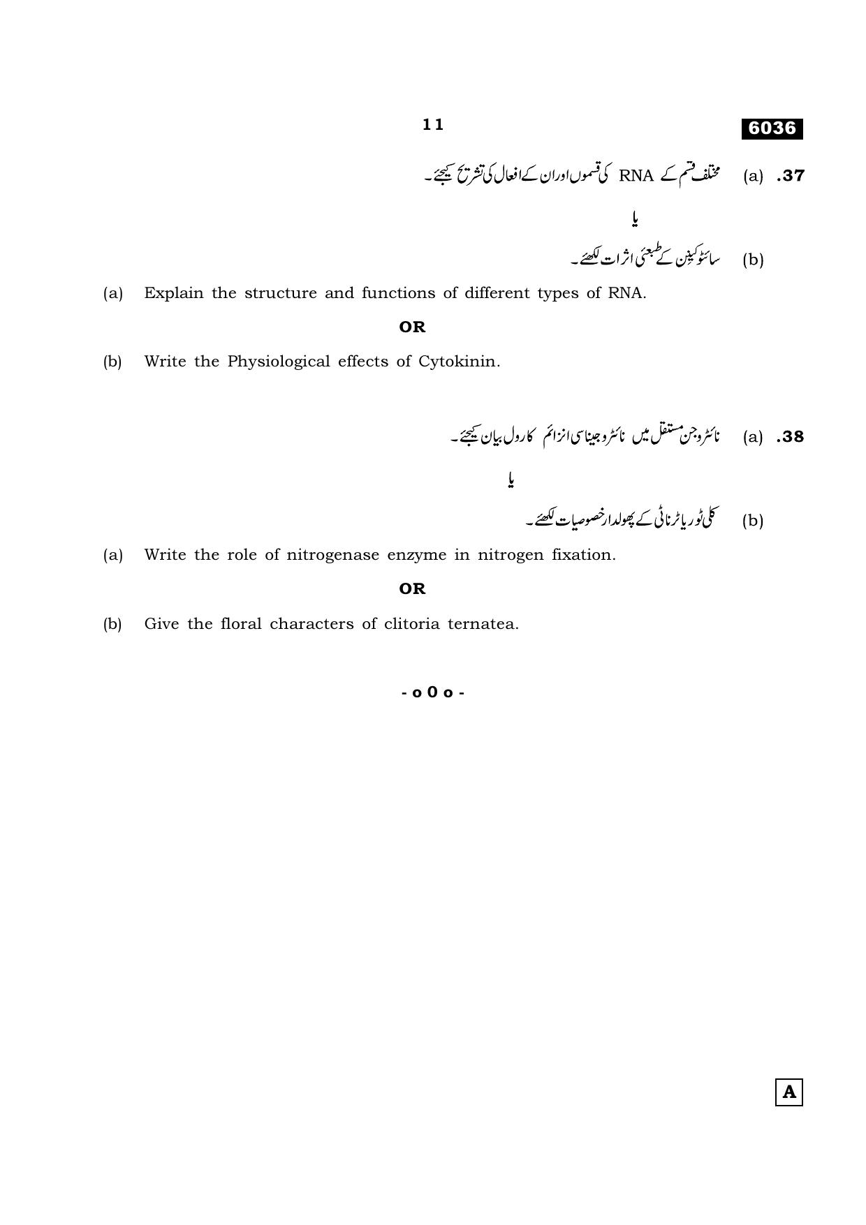 TN Class 11 2022 Question Papers (All Subjects) - Page 1018