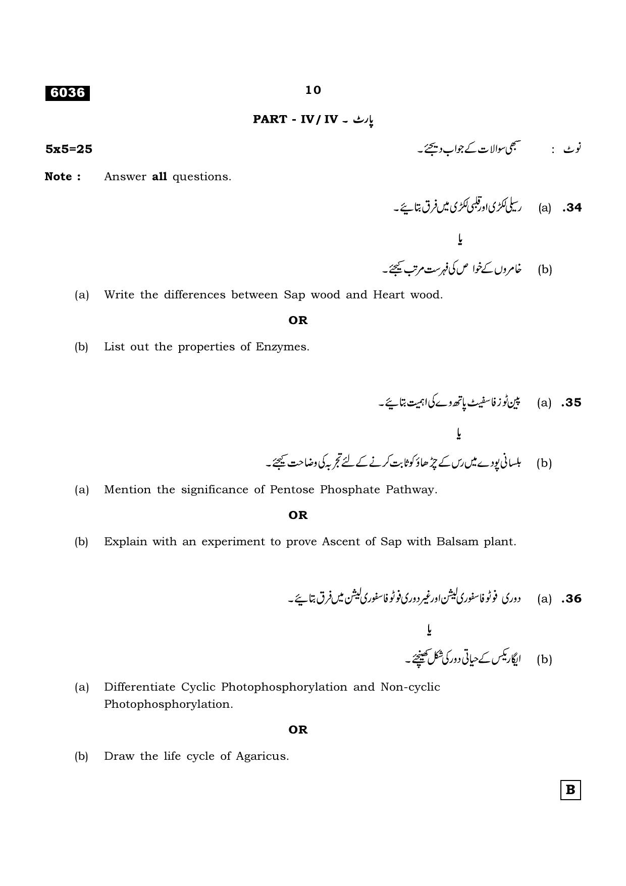 TN Class 11 2022 Question Papers (All Subjects) - Page 1029