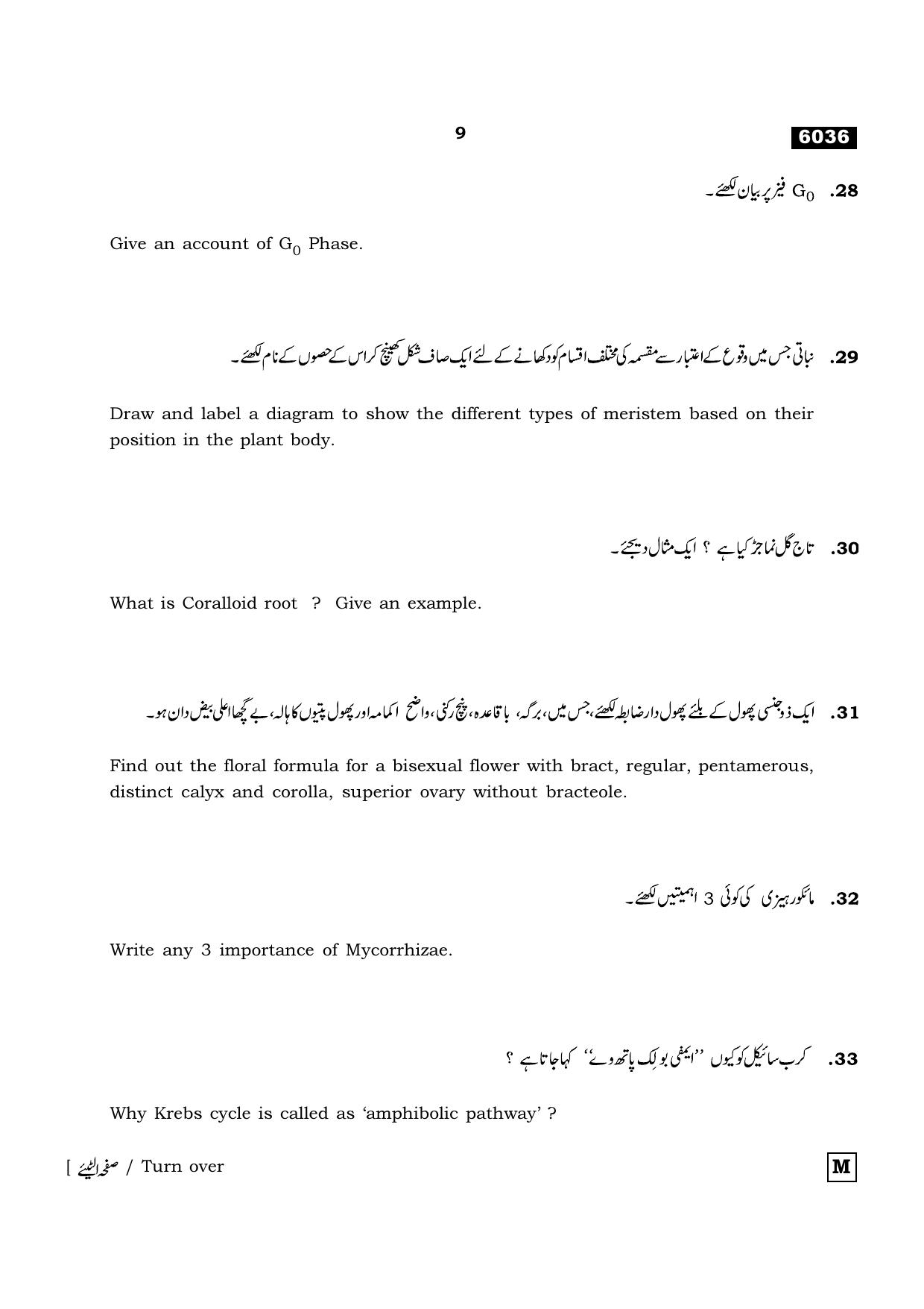TN Class 11 2022 Question Papers (All Subjects) - Page 1040