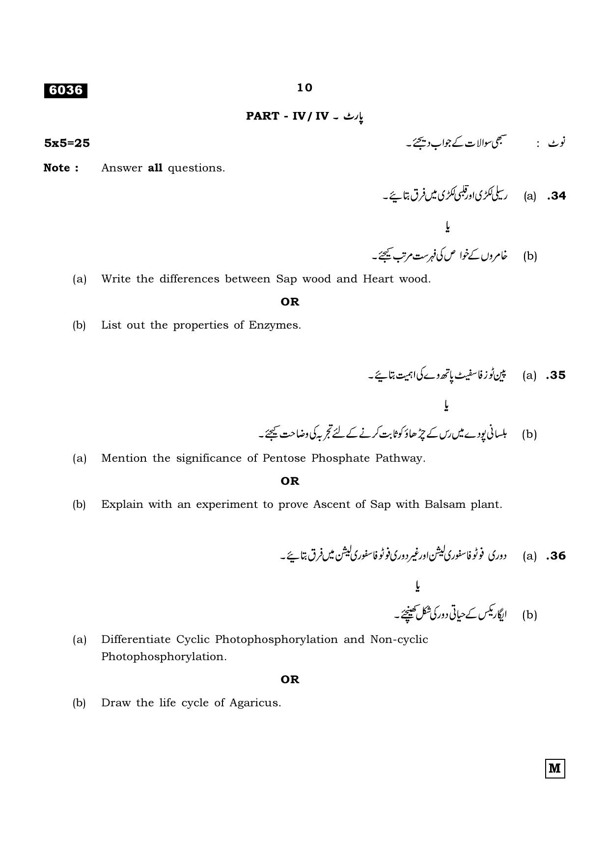 TN Class 11 2022 Question Papers (All Subjects) - Page 1041