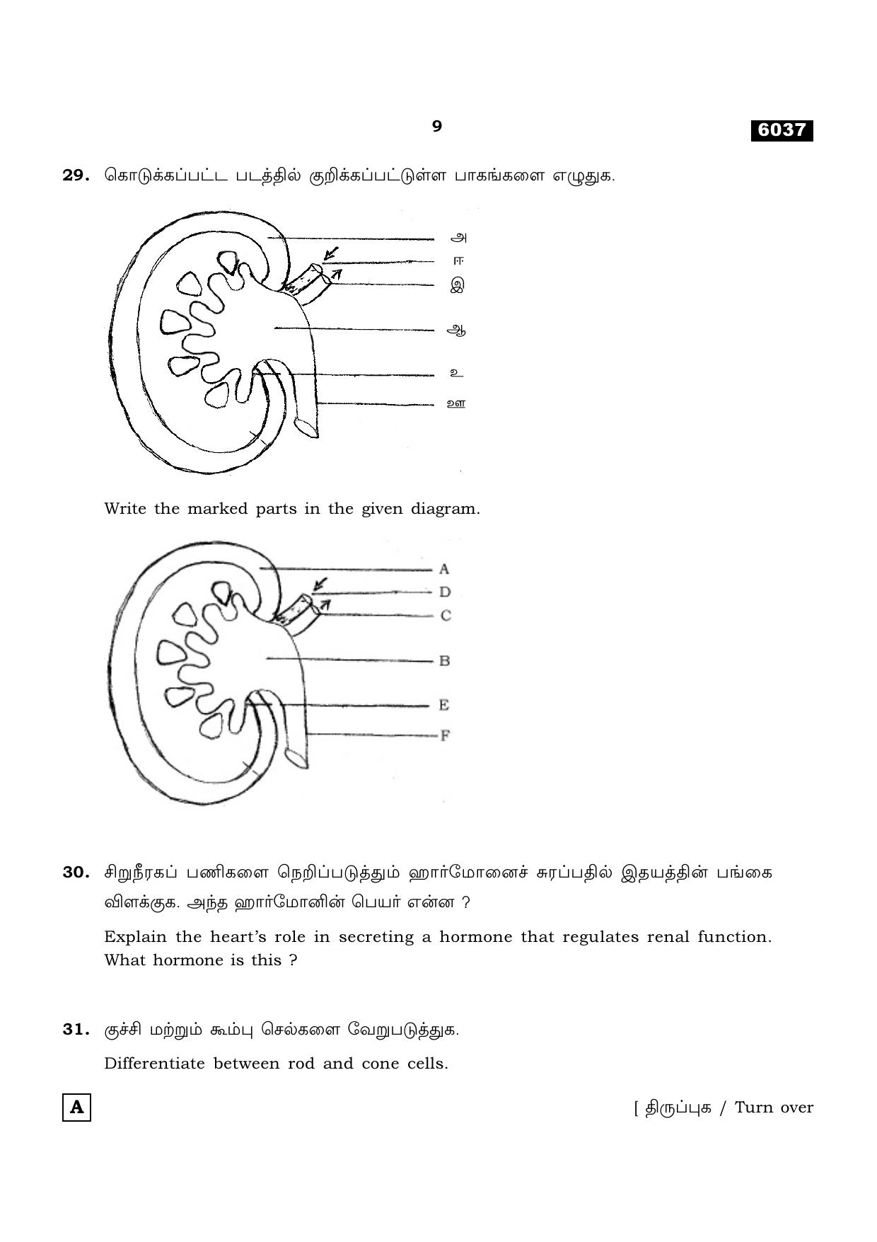 TN Class 11 2022 Question Papers (All Subjects) - Page 1052