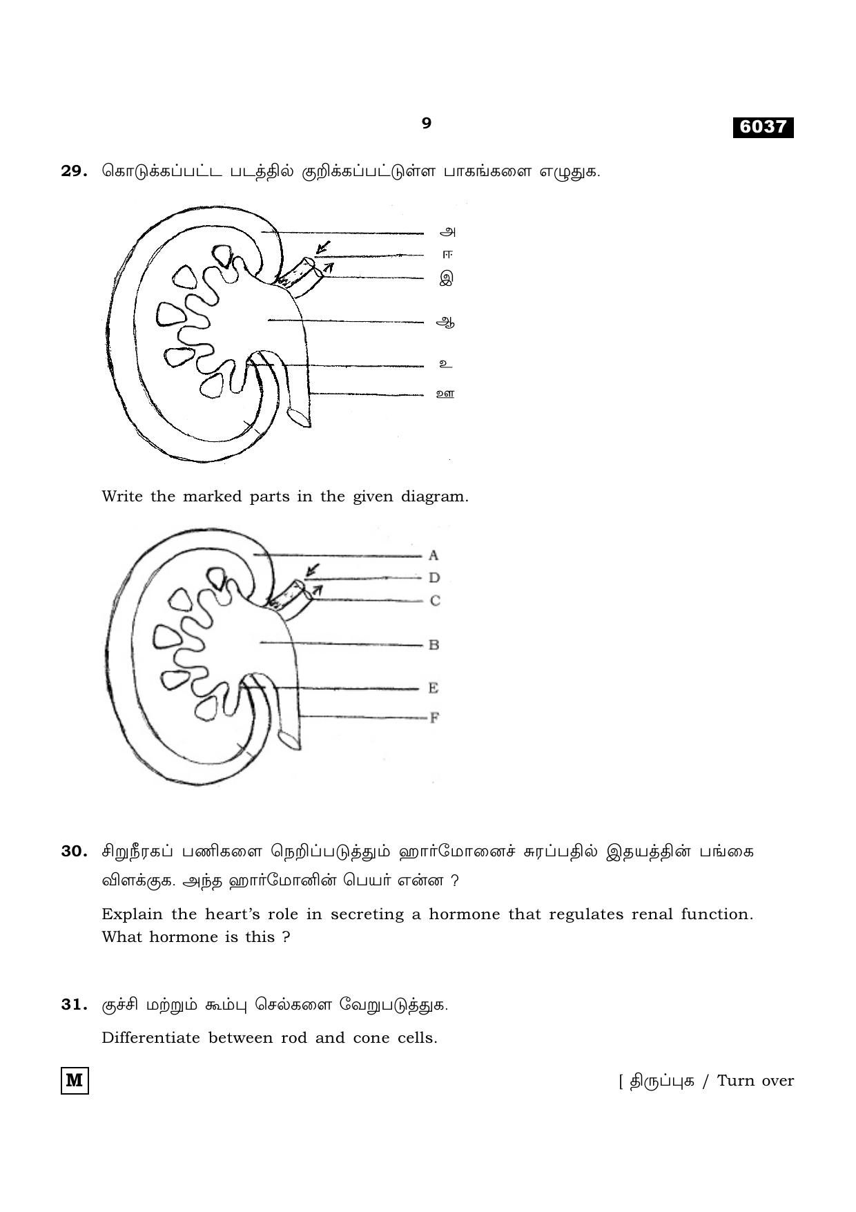 TN Class 11 2022 Question Papers (All Subjects) - Page 1076
