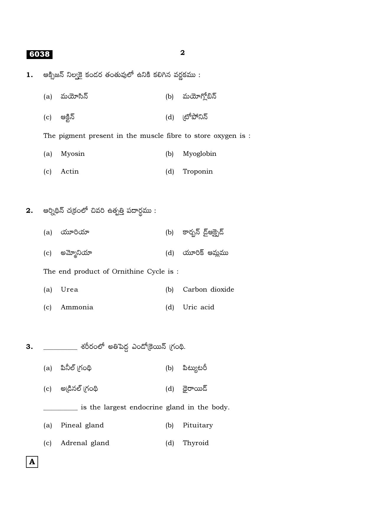 TN Class 11 2022 Question Papers (All Subjects) - Page 1081