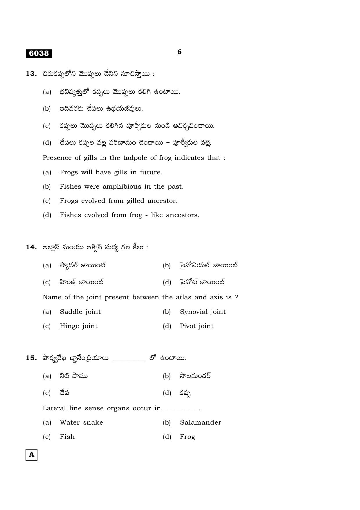 TN Class 11 2022 Question Papers (All Subjects) - Page 1085