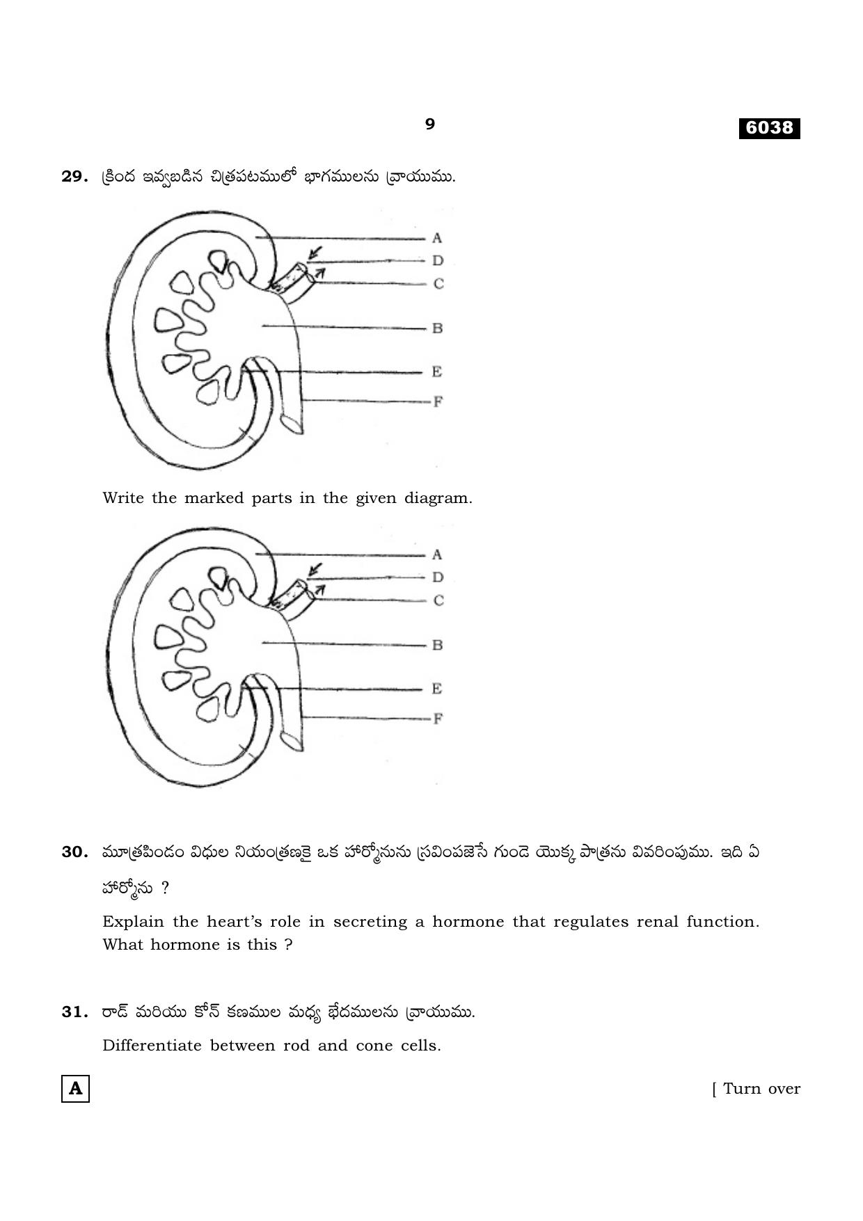 TN Class 11 2022 Question Papers (All Subjects) - Page 1088