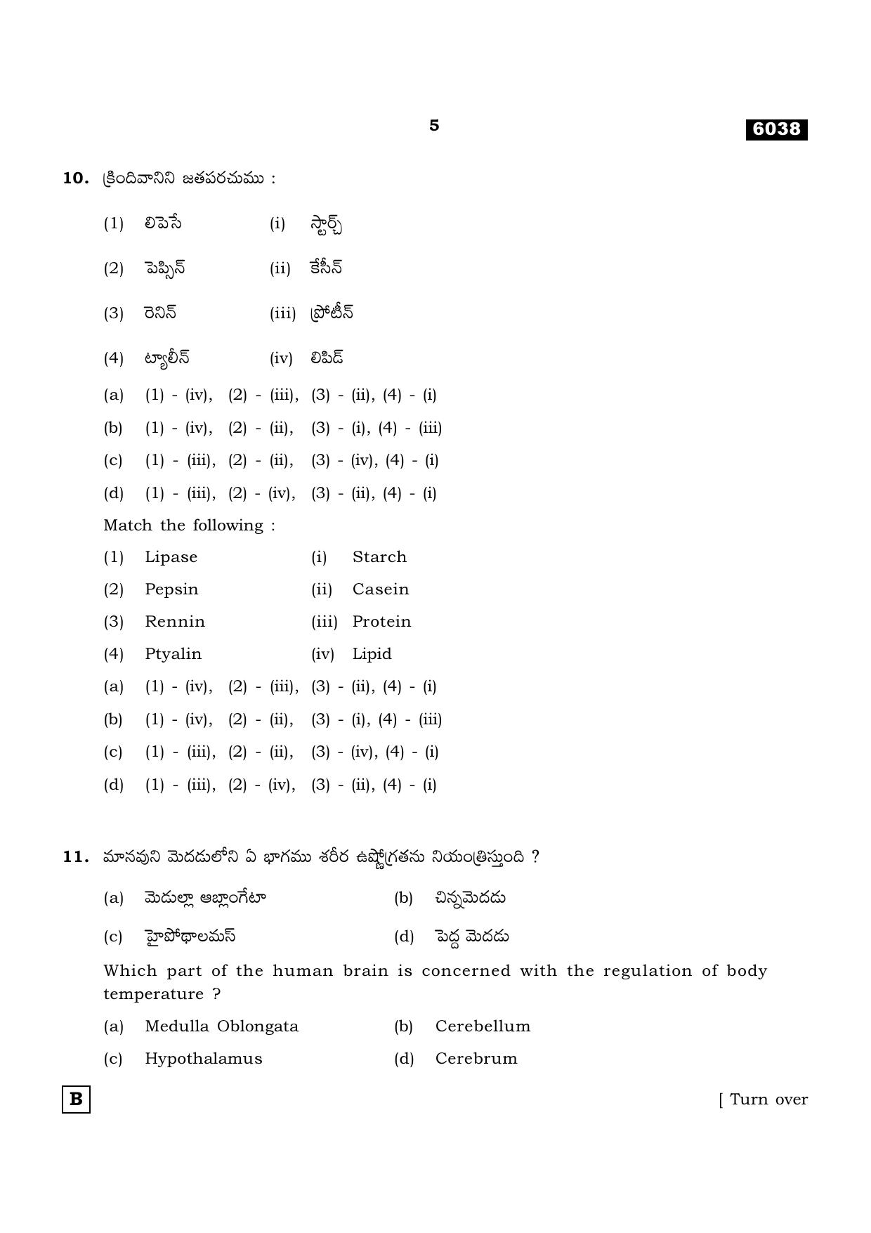 TN Class 11 2022 Question Papers (All Subjects) - Page 1096