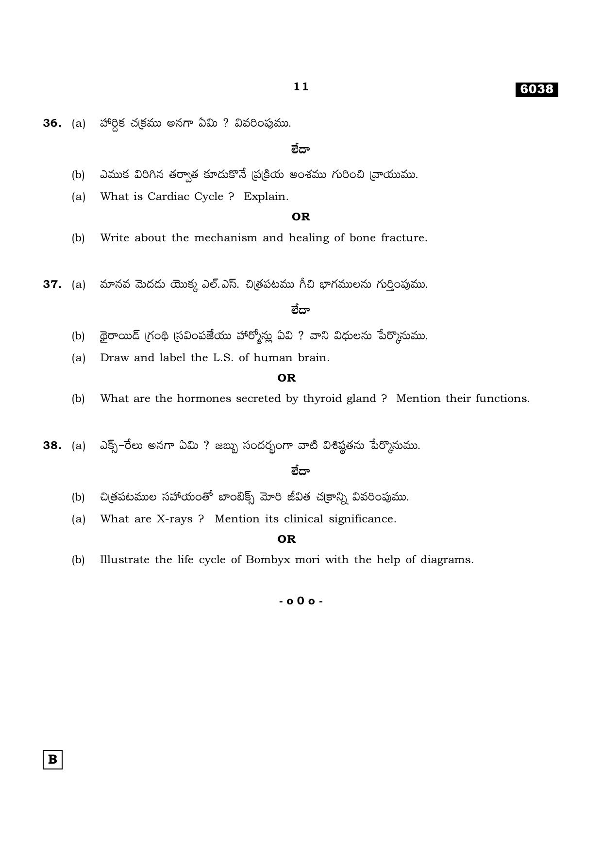 TN Class 11 2022 Question Papers (All Subjects) - Page 1102