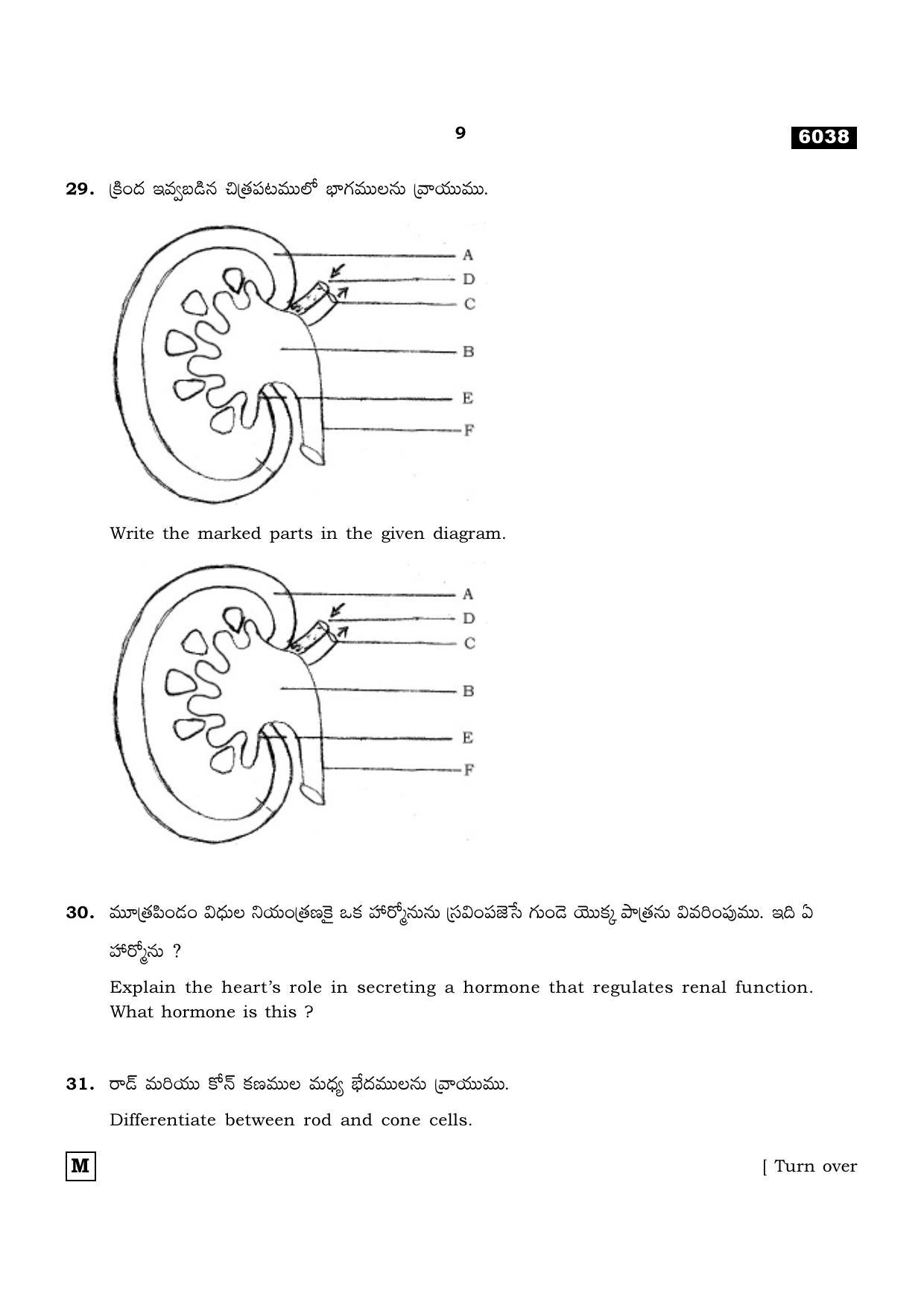 TN Class 11 2022 Question Papers (All Subjects) - Page 1112