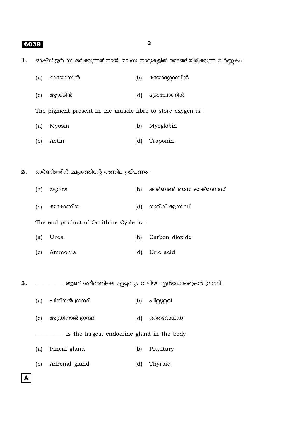 TN Class 11 2022 Question Papers (All Subjects) - Page 1117