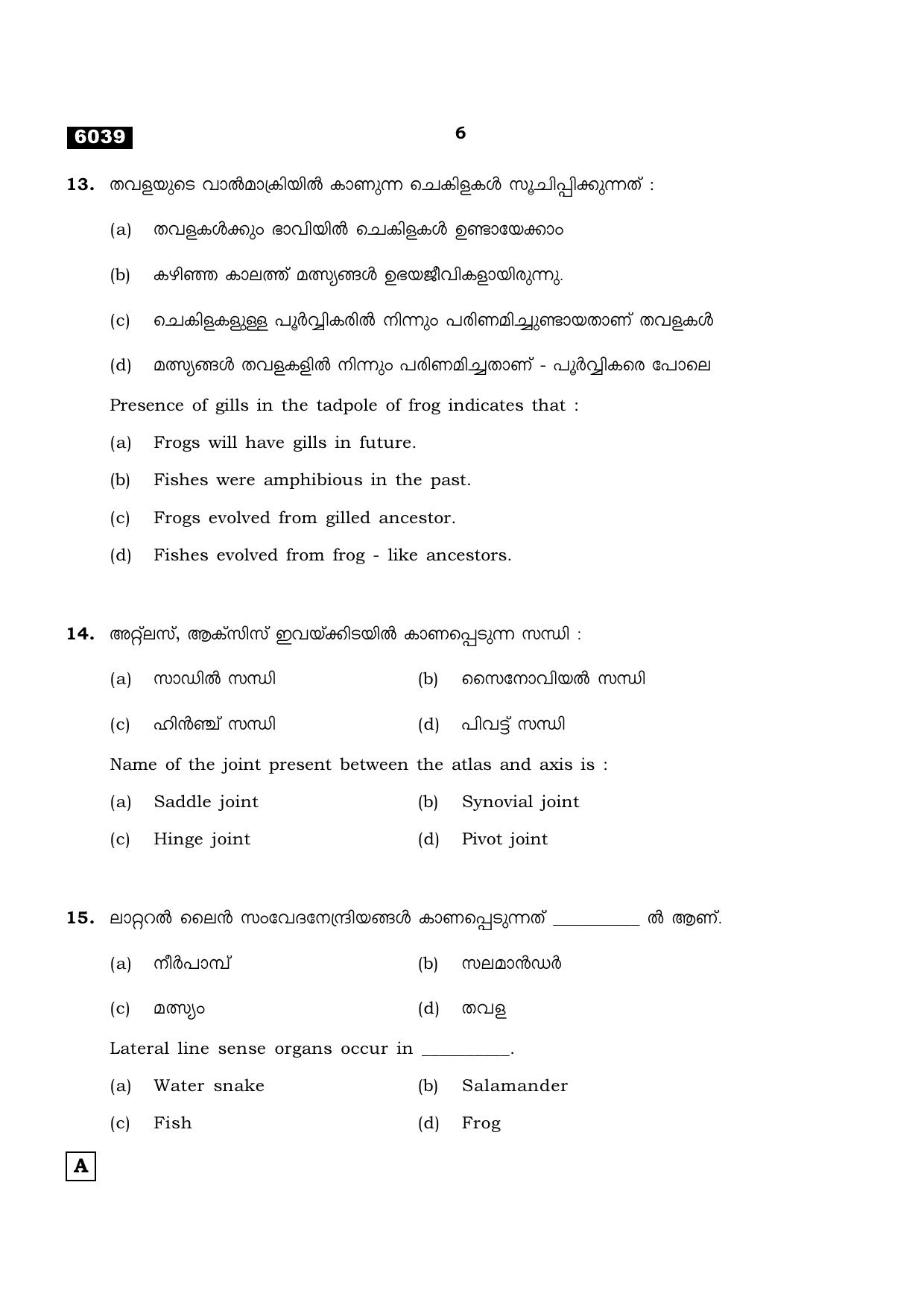 TN Class 11 2022 Question Papers (All Subjects) - Page 1121