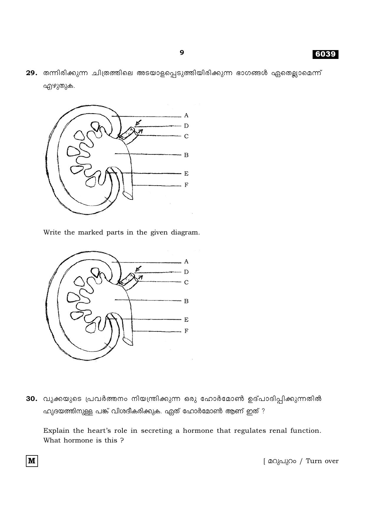 TN Class 11 2022 Question Papers (All Subjects) - Page 1148