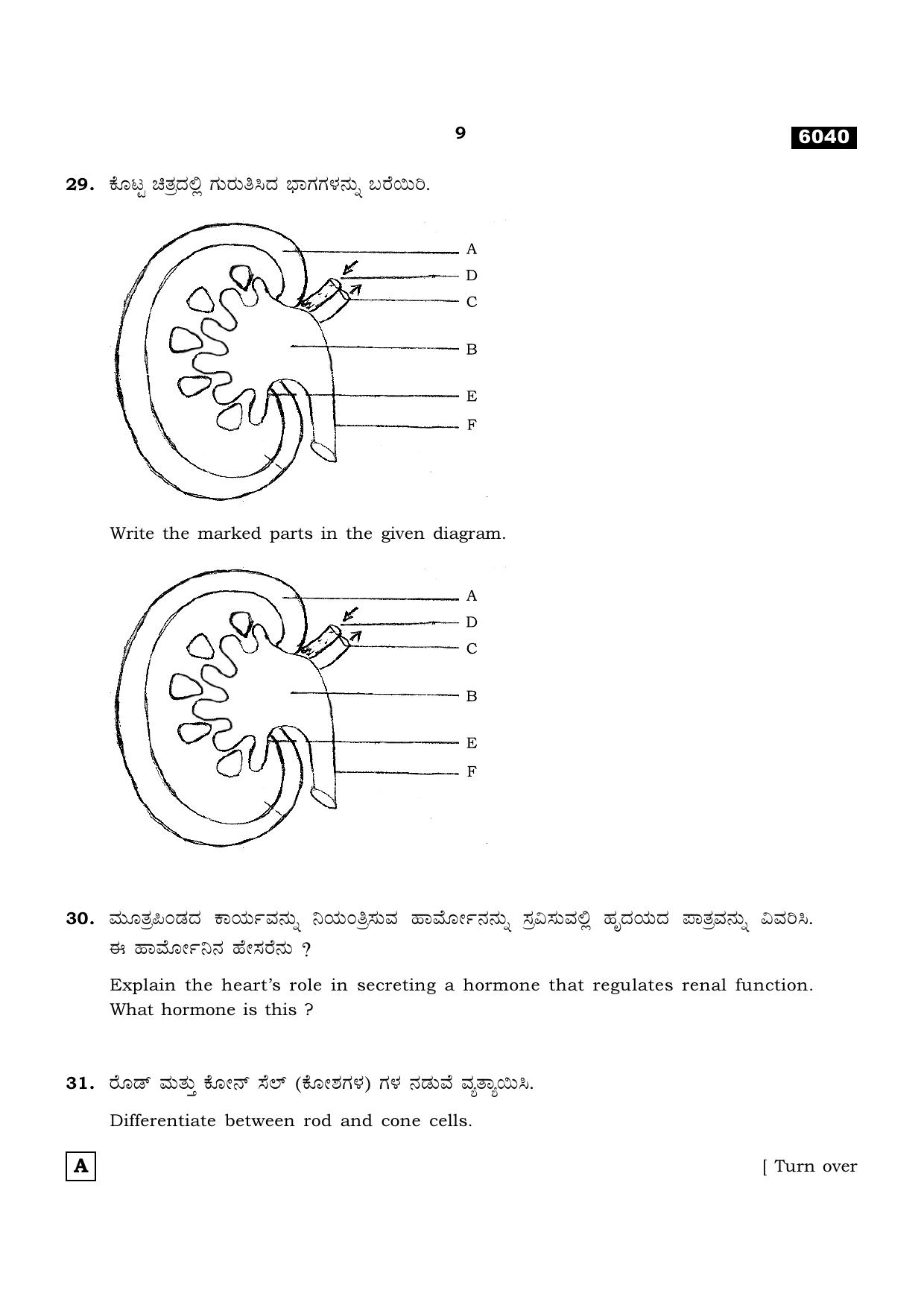 TN Class 11 2022 Question Papers (All Subjects) - Page 1160