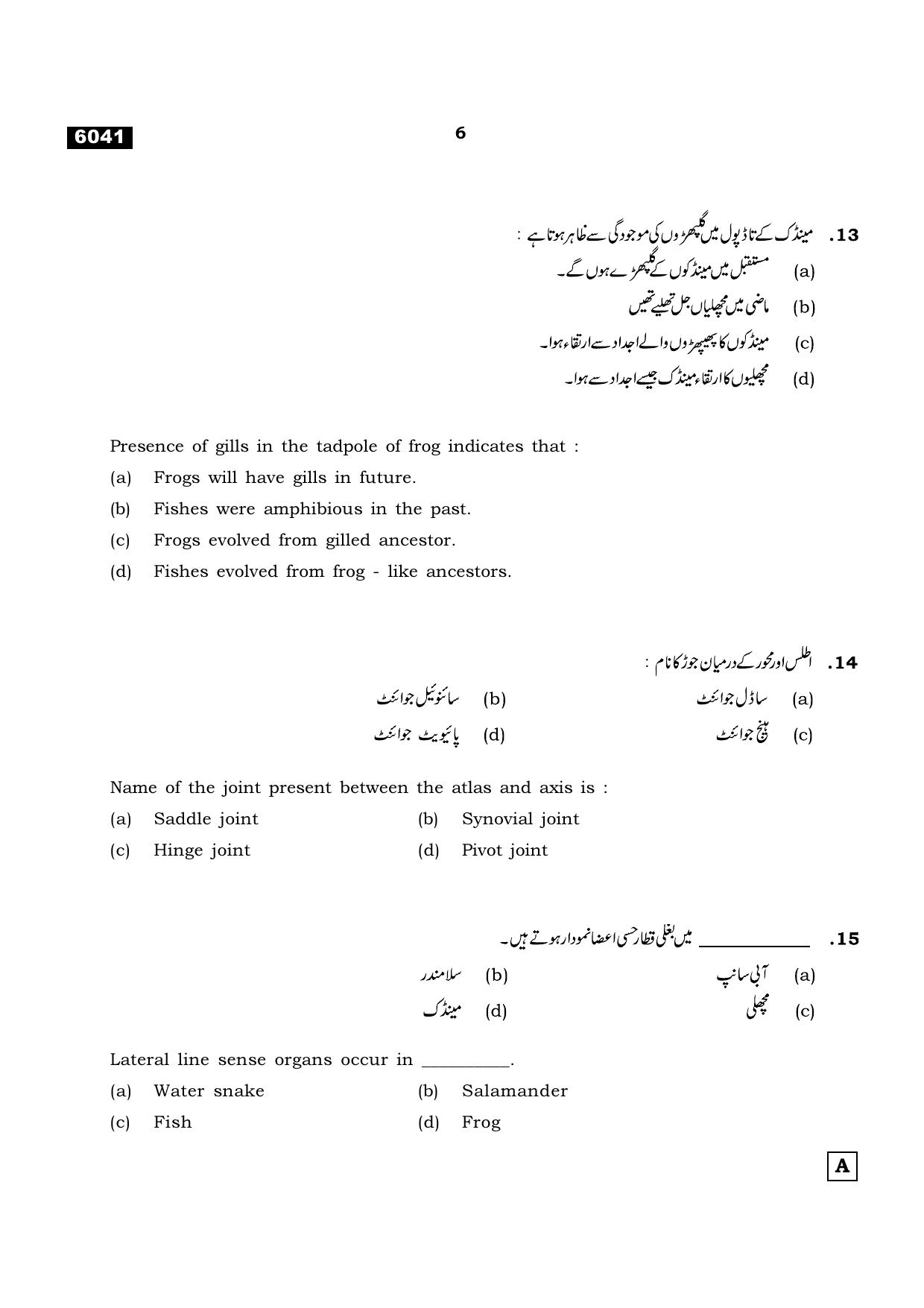 TN Class 11 2022 Question Papers (All Subjects) - Page 1193