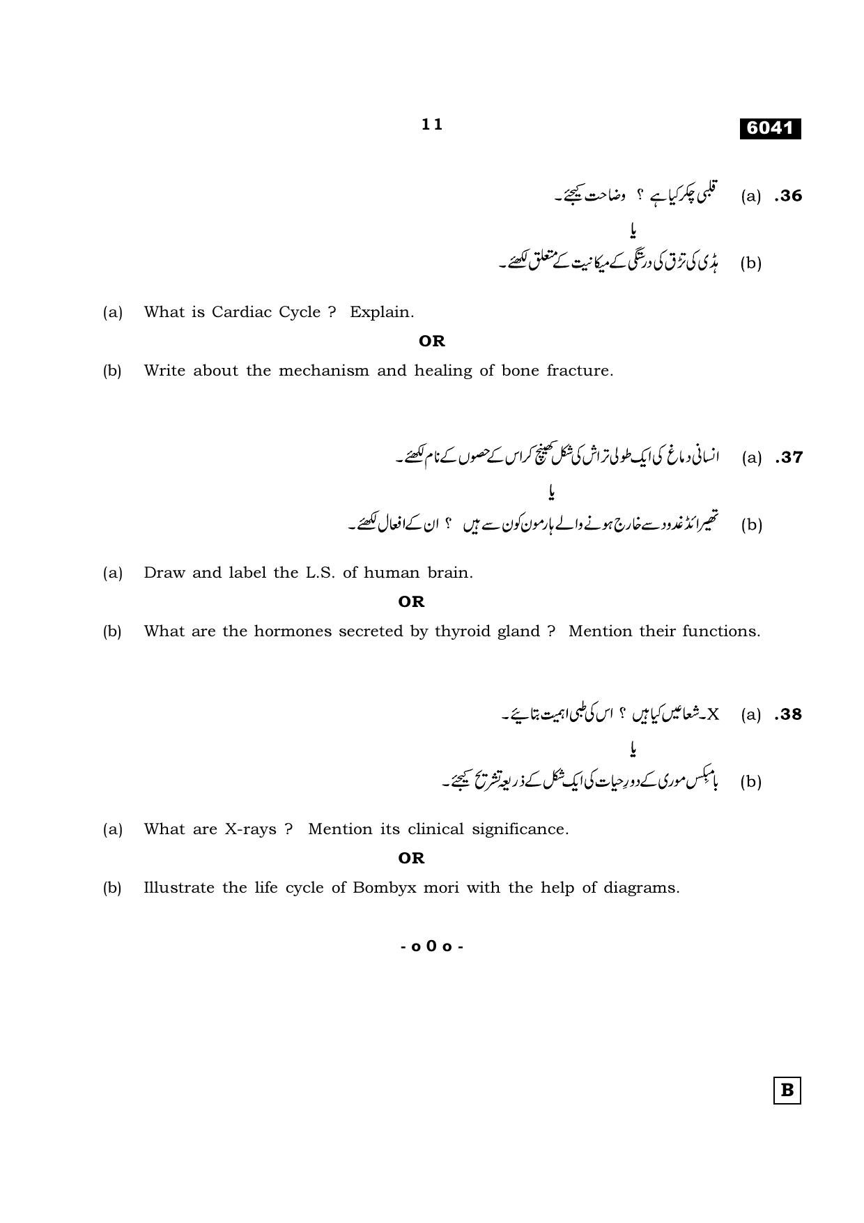 TN Class 11 2022 Question Papers (All Subjects) - Page 1210