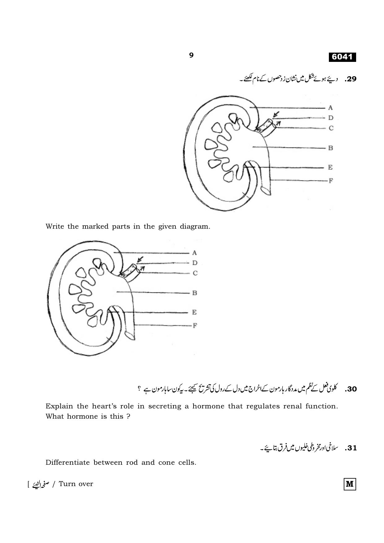 TN Class 11 2022 Question Papers (All Subjects) - Page 1220