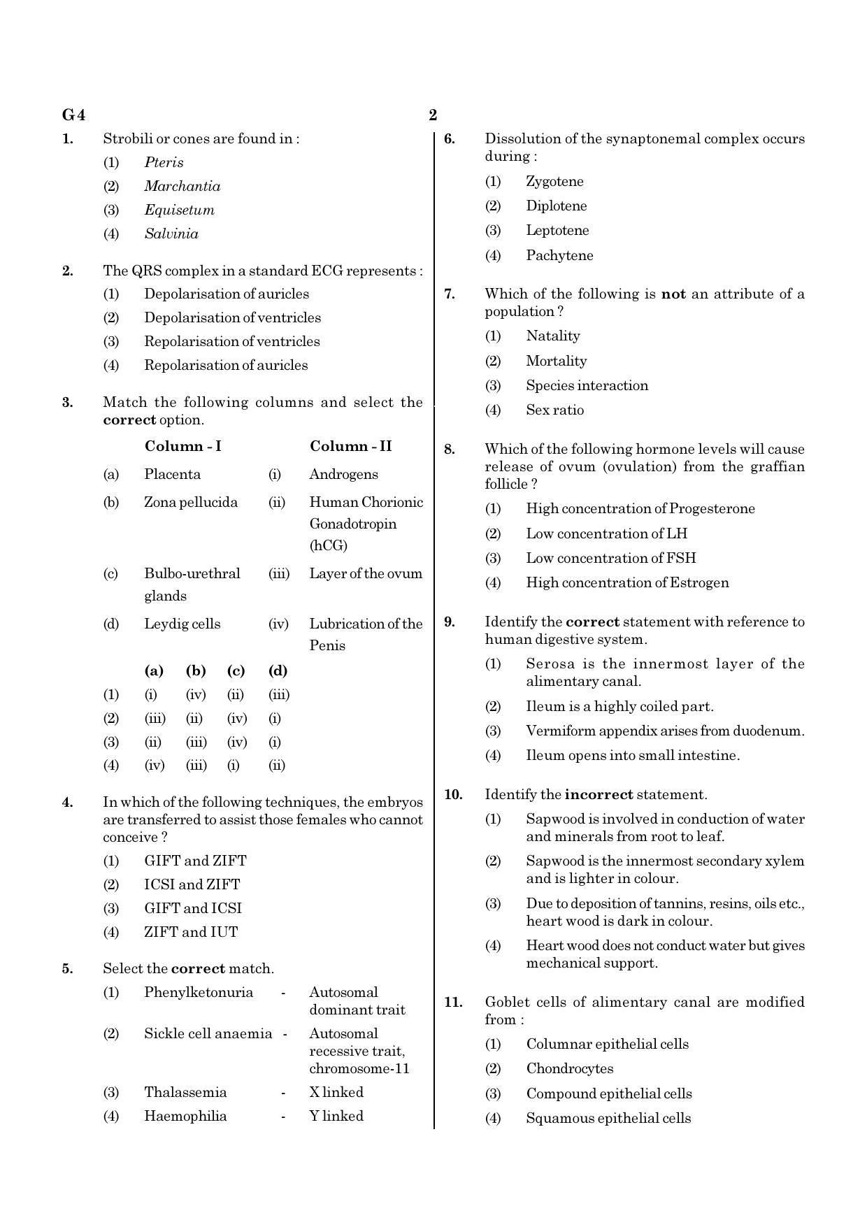 NEET G4 2020 Question Paper - Page 2