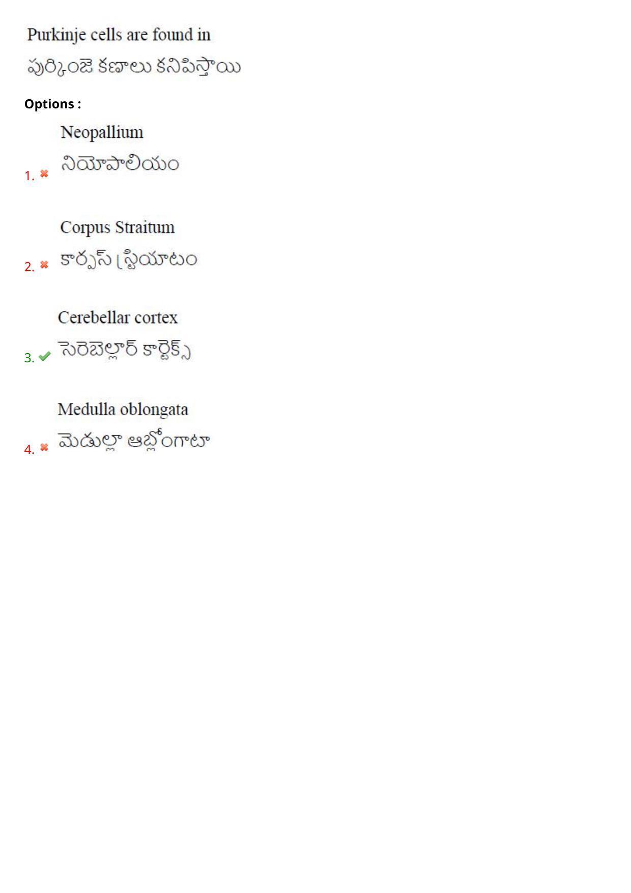 TS CPGET 2021 M.Sc. Bio Technology (5 years Integrated) (Shift 2) Question Paper with Answer Key - Page 76