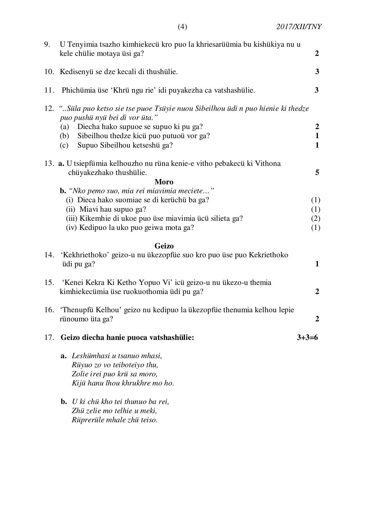 Nagaland Board Class 12 TENYIDIE 2017 Question Papers - Page 4