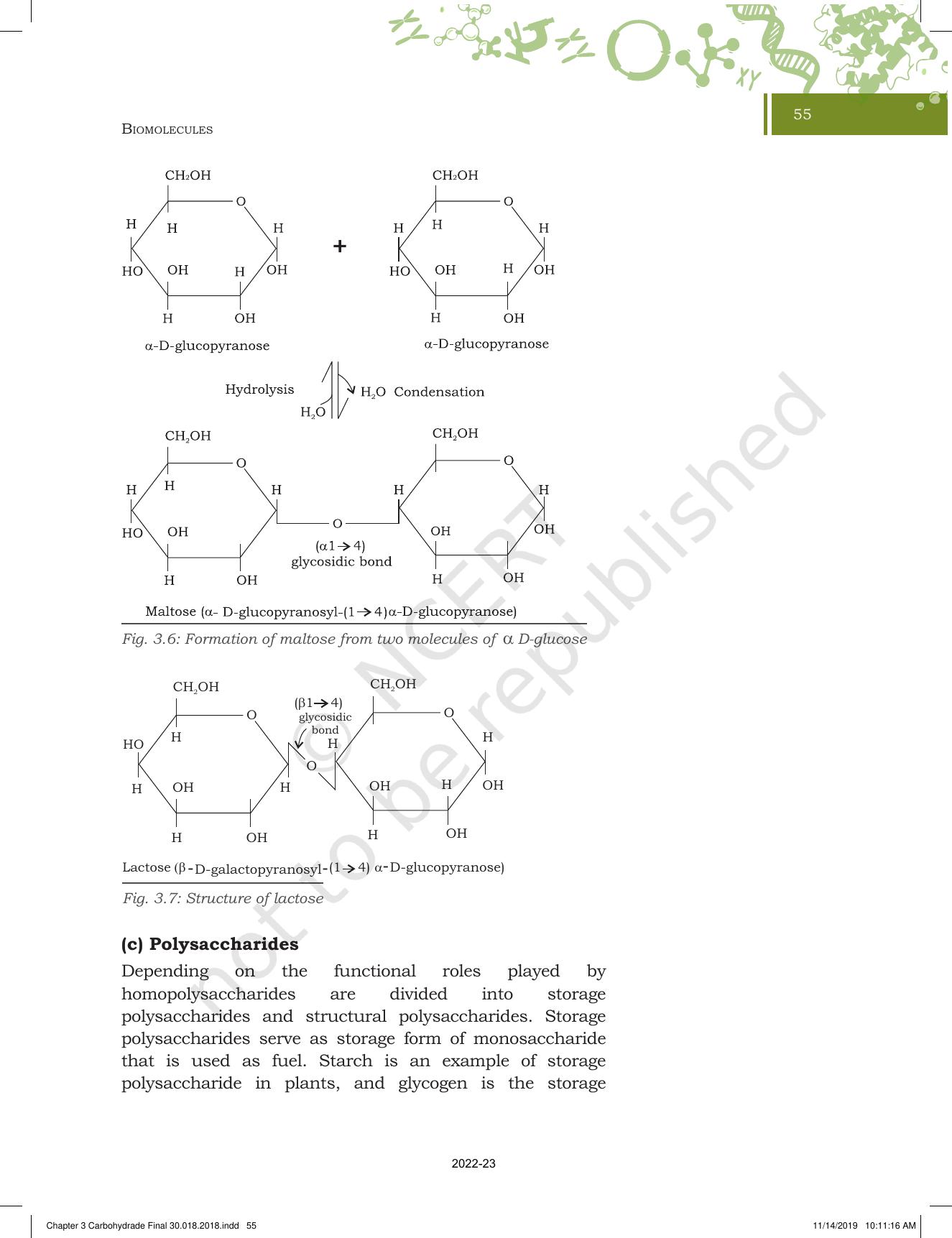 NCERT Book for Class 11 Biotechnology Chapter 3 Biomolecules - Page 6