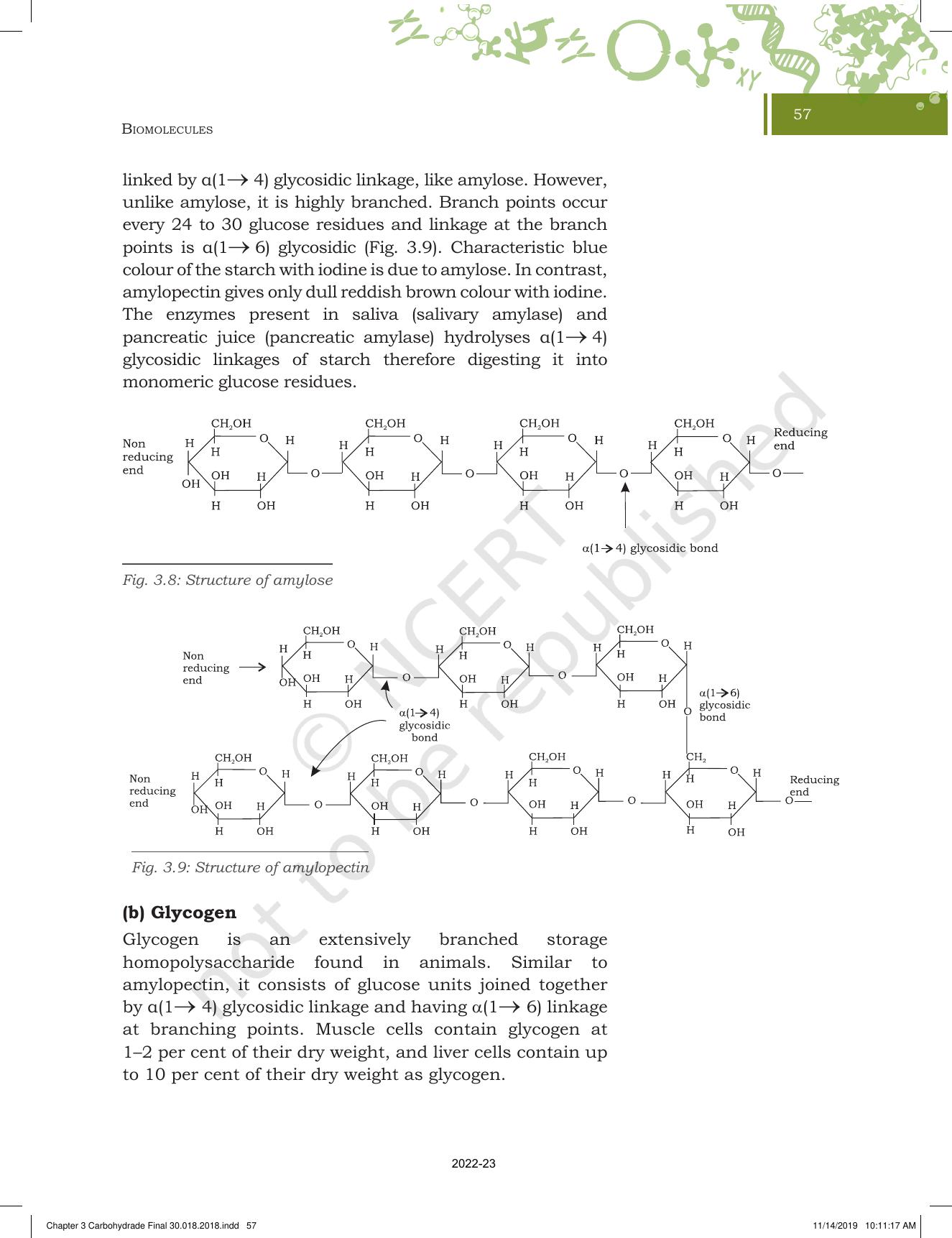 NCERT Book for Class 11 Biotechnology Chapter 3 Biomolecules - Page 8