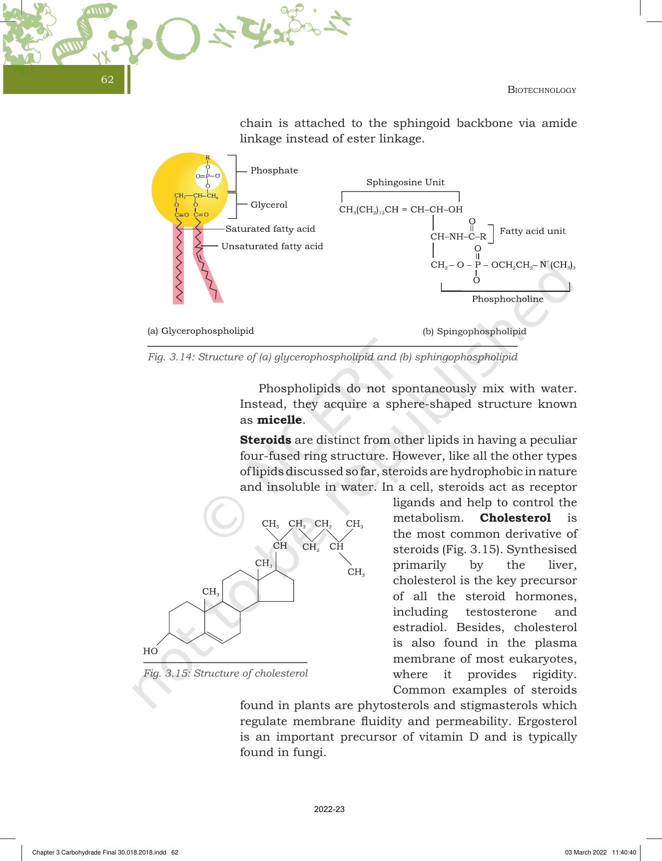 NCERT Book for Class 11 Biotechnology Chapter 3 Biomolecules - Page 13
