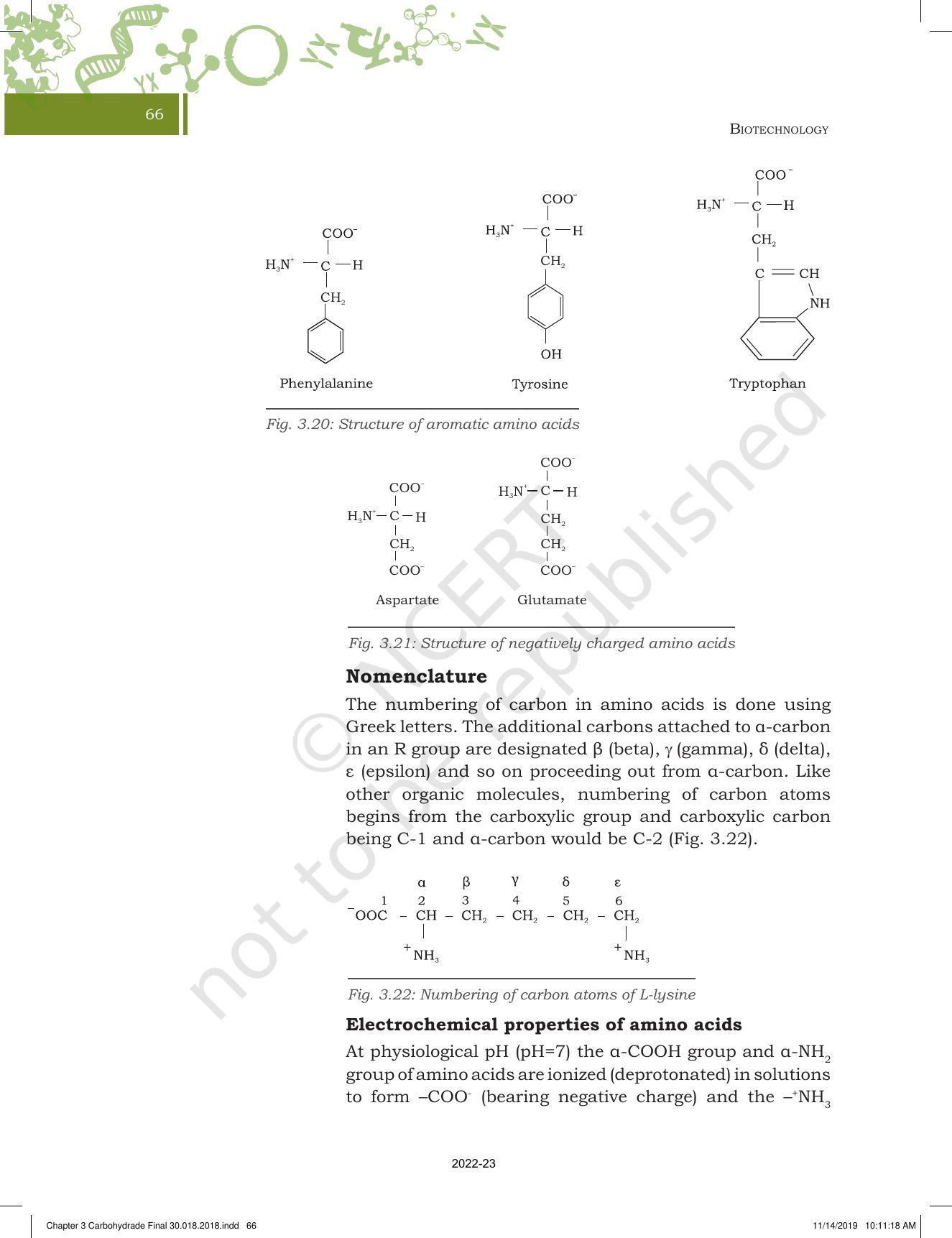 NCERT Book for Class 11 Biotechnology Chapter 3 Biomolecules - Page 17
