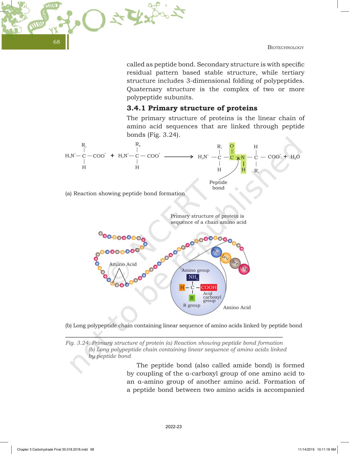 NCERT Book for Class 11 Biotechnology Chapter 3 Biomolecules - Page 19
