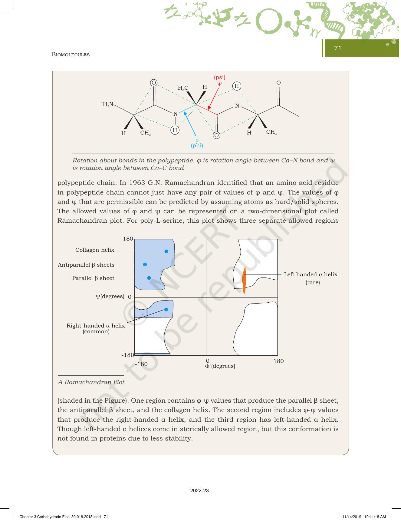 NCERT Book for Class 11 Biotechnology Chapter 3 Biomolecules - Page 22