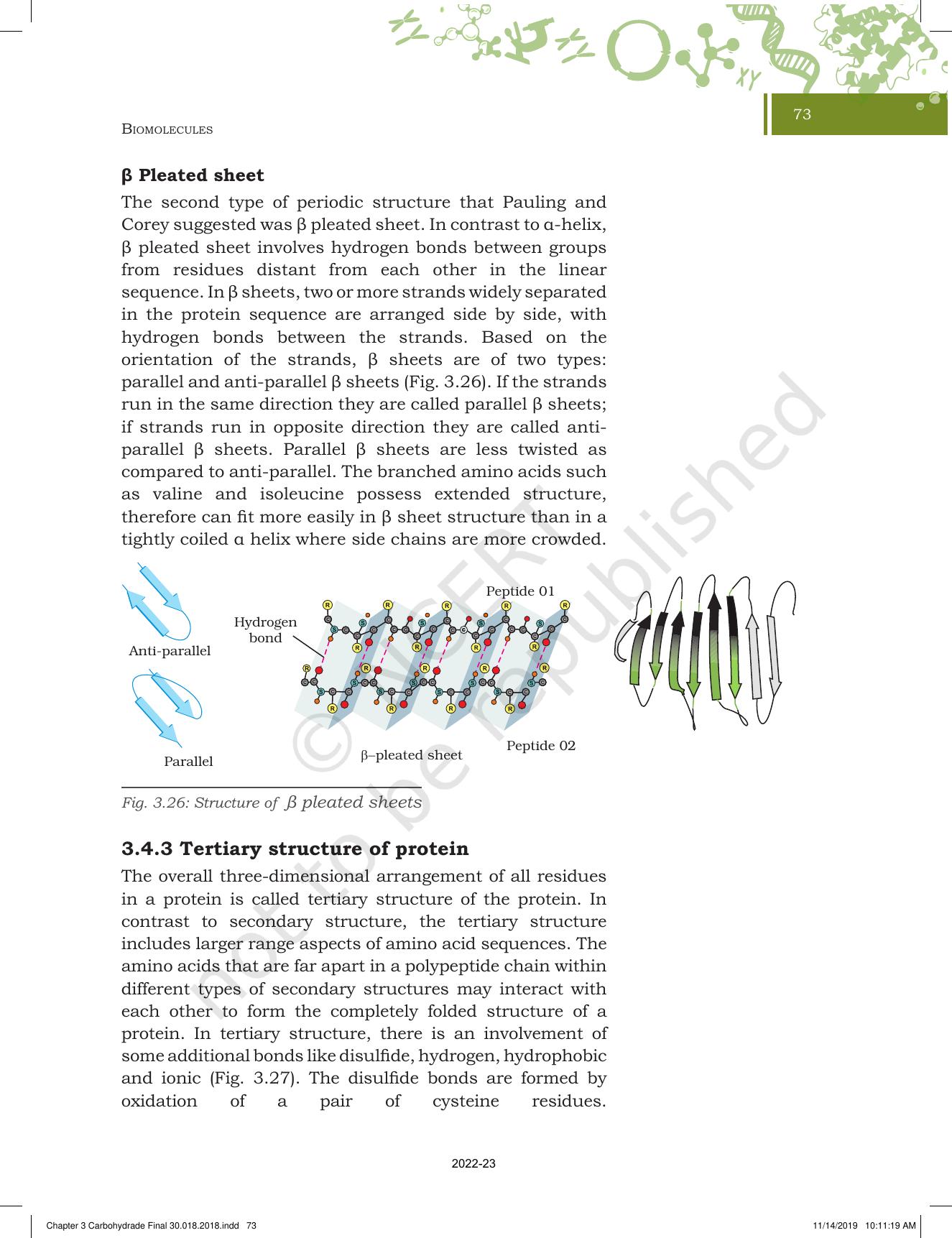 NCERT Book for Class 11 Biotechnology Chapter 3 Biomolecules - Page 24