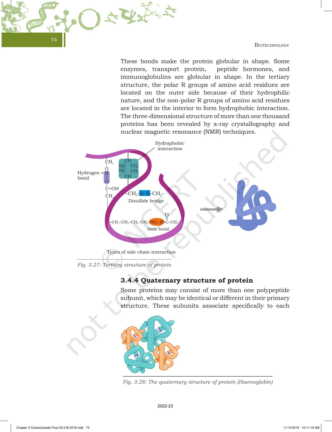 NCERT Book for Class 11 Biotechnology Chapter 3 Biomolecules - Page 25