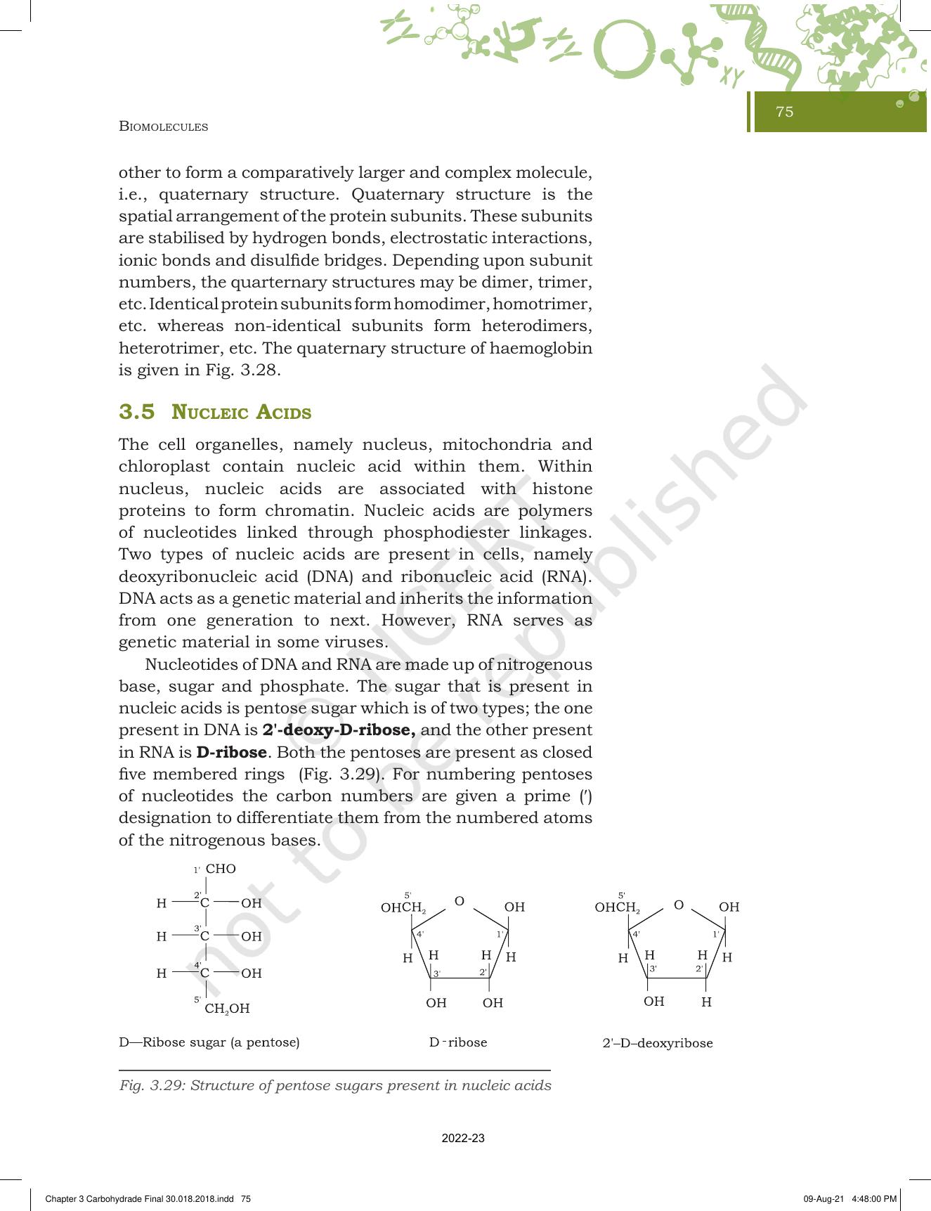 NCERT Book for Class 11 Biotechnology Chapter 3 Biomolecules - Page 26