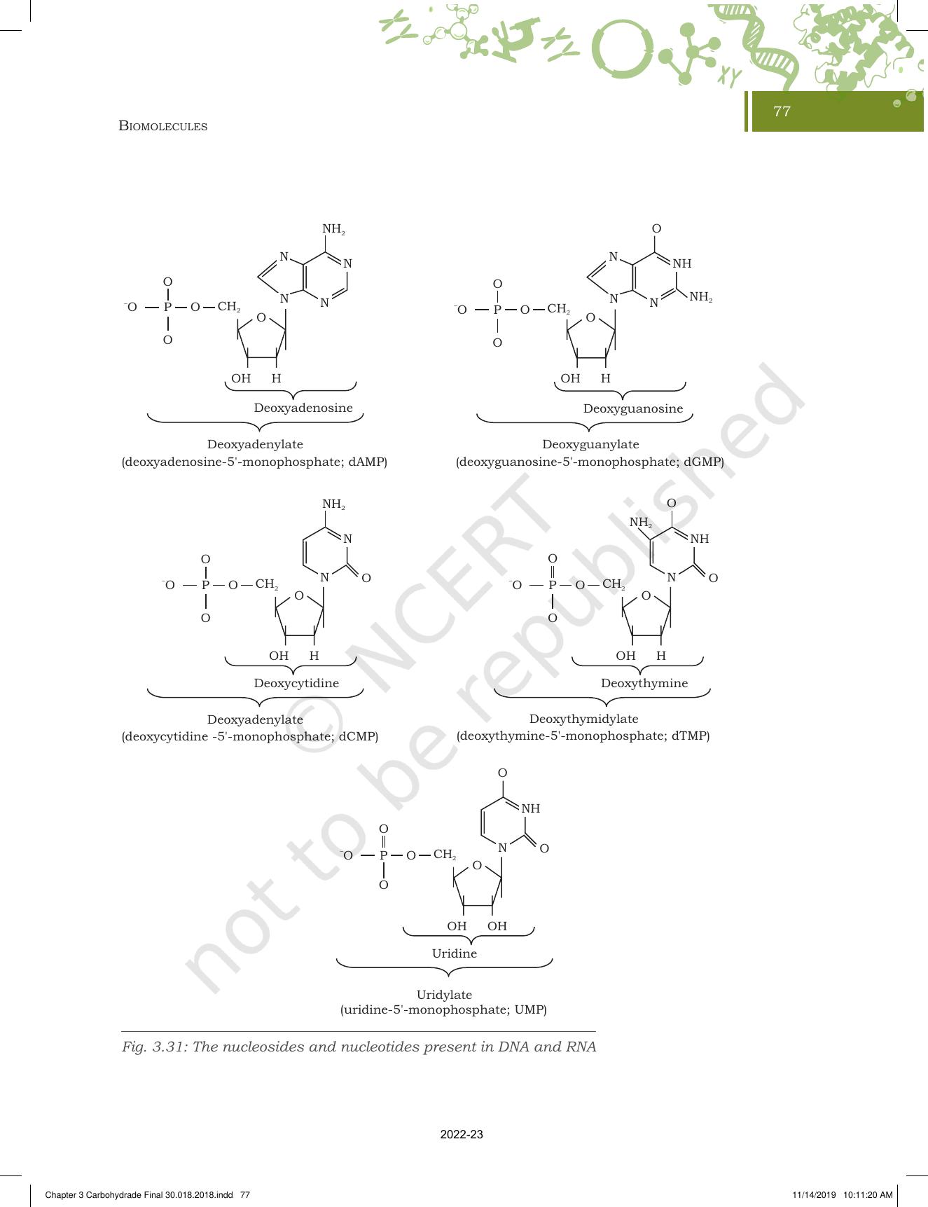 NCERT Book for Class 11 Biotechnology Chapter 3 Biomolecules - Page 28