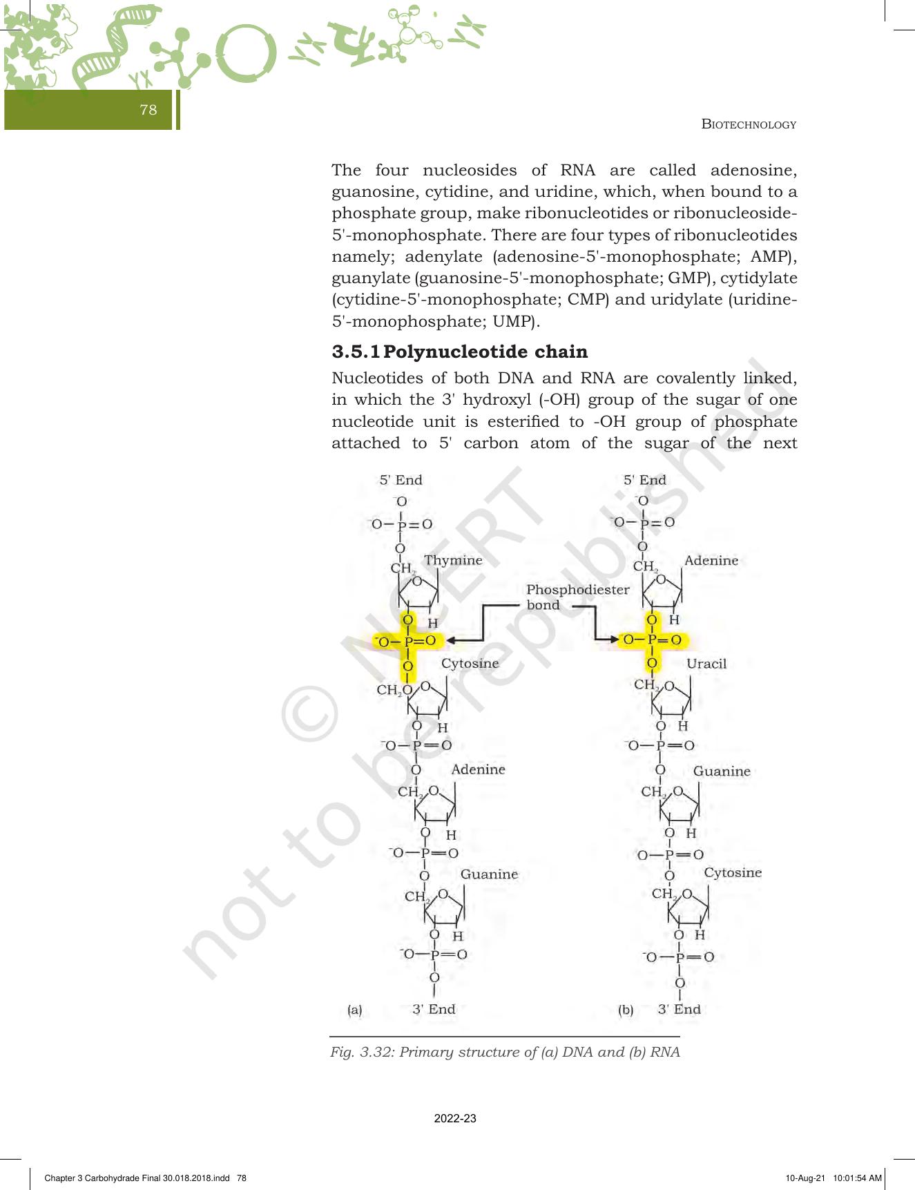 NCERT Book for Class 11 Biotechnology Chapter 3 Biomolecules - Page 29