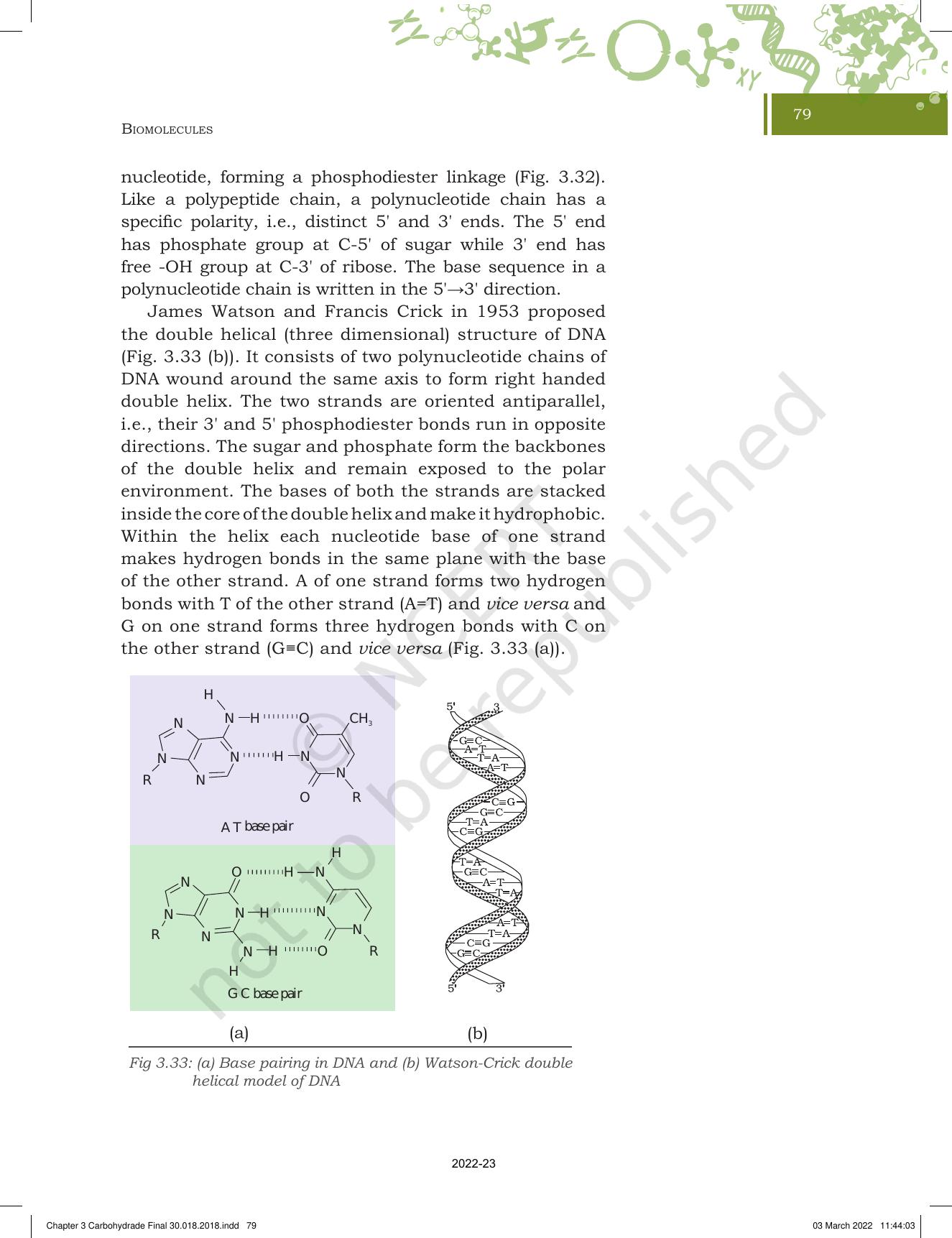 NCERT Book for Class 11 Biotechnology Chapter 3 Biomolecules - Page 30