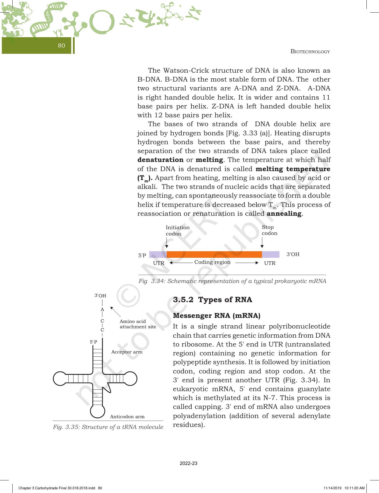 NCERT Book for Class 11 Biotechnology Chapter 3 Biomolecules - Page 31