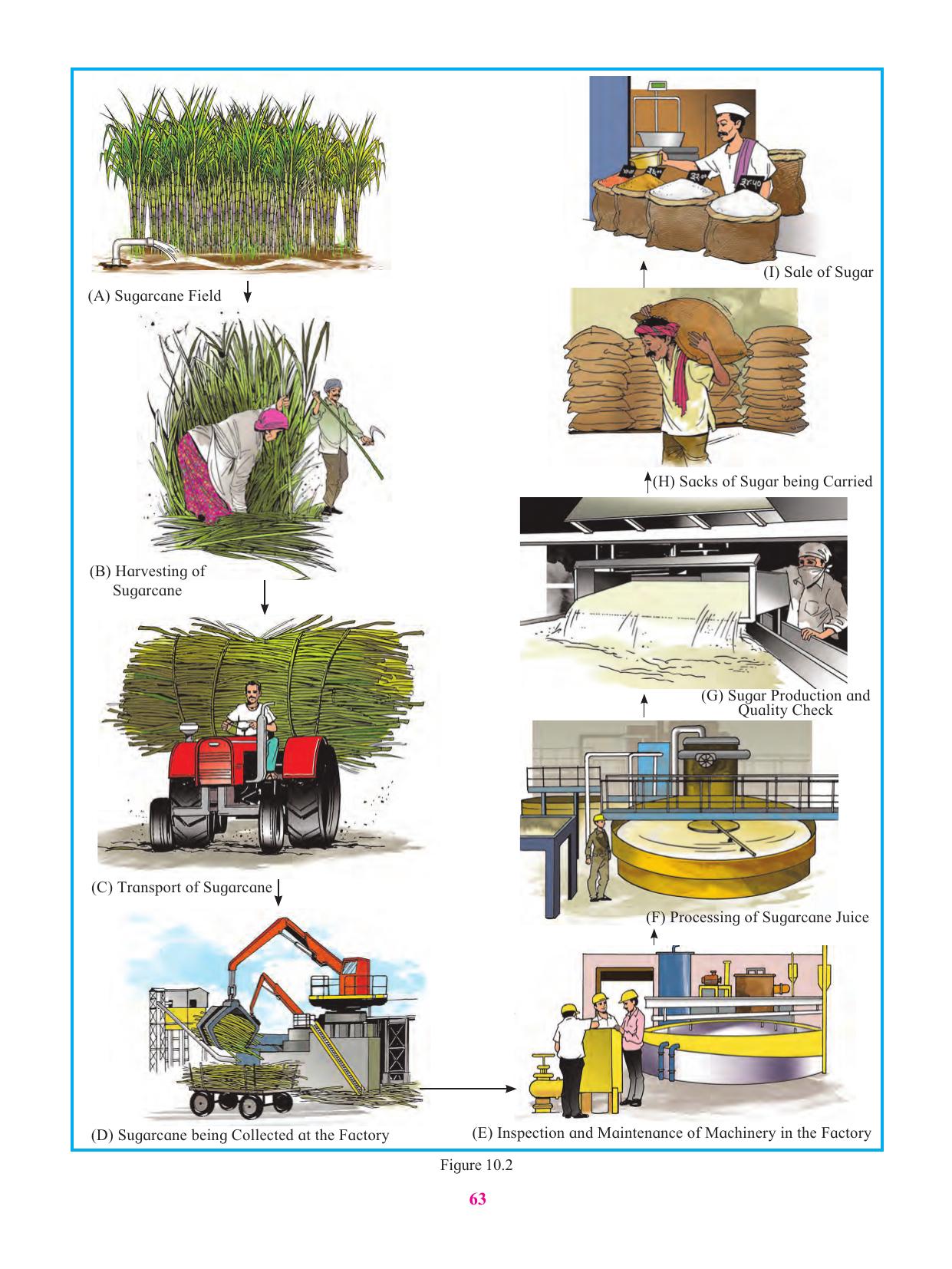 Maharashtra Board Class 6 Geography Textbook - Page 74