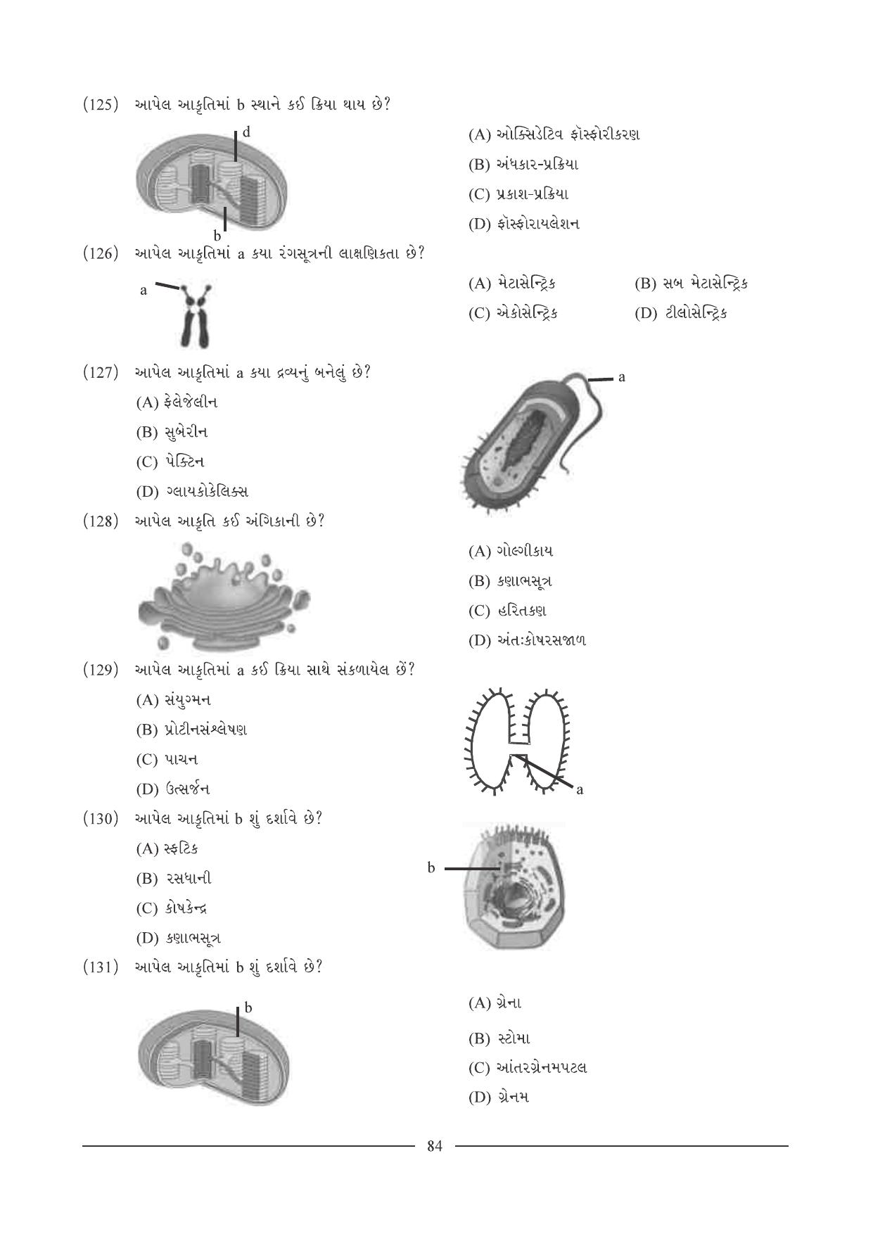 GSEB HSC Biology Question Paper (Gujarati Medium)- Chapter 5 - Page 17