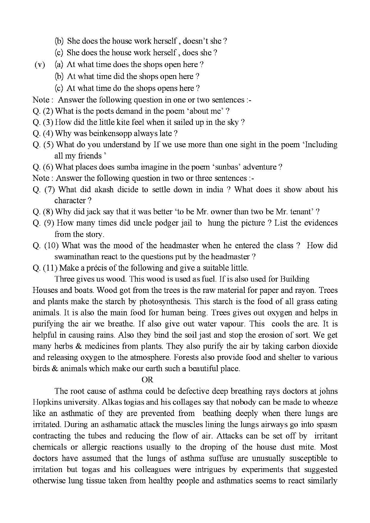 CGBSE Class 10th English Special Sample Paper - Page 2