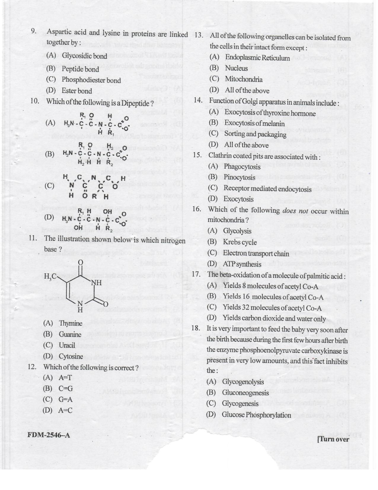KUET 2023 M.Sc. BioTechnology Question Paper - Page 15