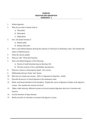 CBSE Worksheets for Class 10 Biology Digestion and Absorbtion Assignment