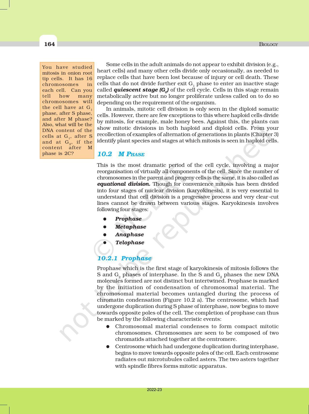 NCERT Book for Class 11 Biology Chapter 10 Cell Cycle and Cell Division - Page 3