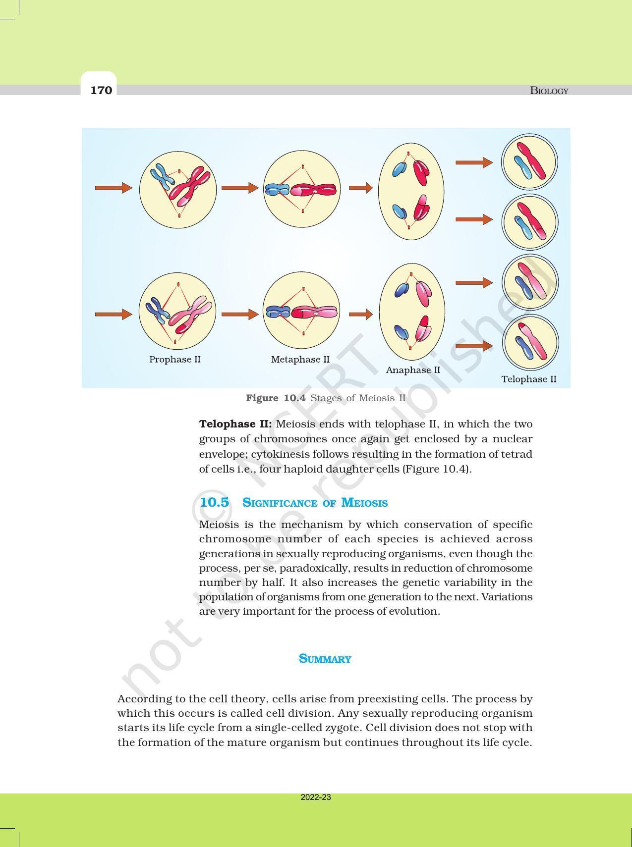 NCERT Book for Class 11 Biology Chapter 10 Cell Cycle and Cell Division - Page 9