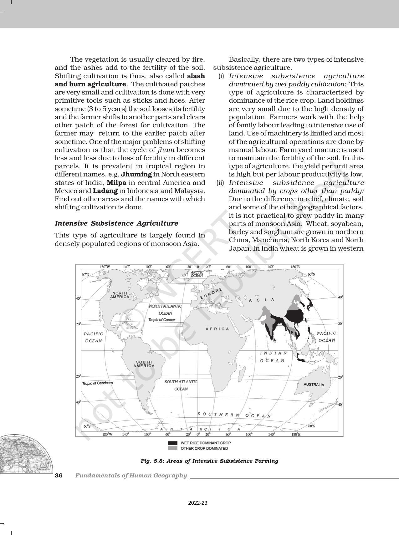 NCERT Book for Class 12 Geography (Part-1) Chapter 5 Primary Activities - Page 6