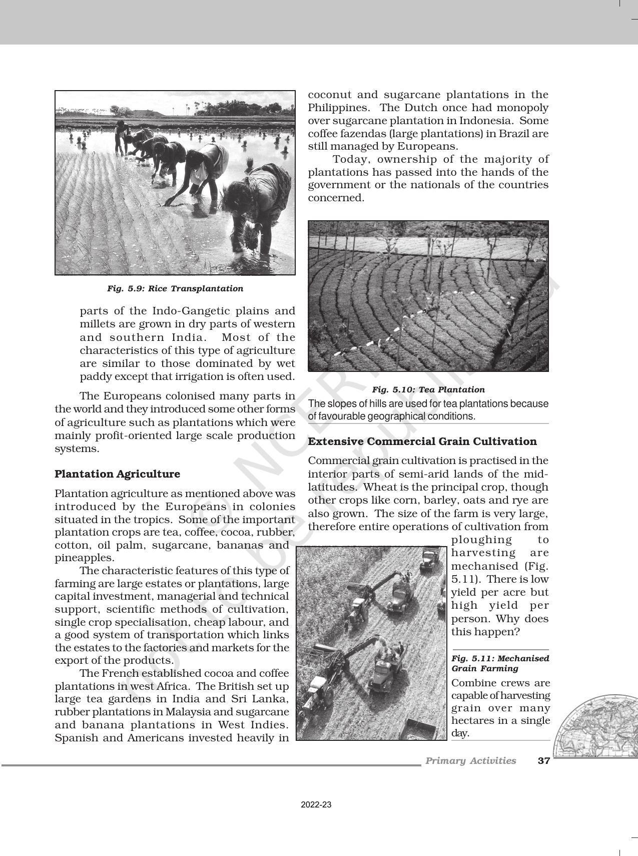 NCERT Book for Class 12 Geography (Part-1) Chapter 5 Primary Activities - Page 7
