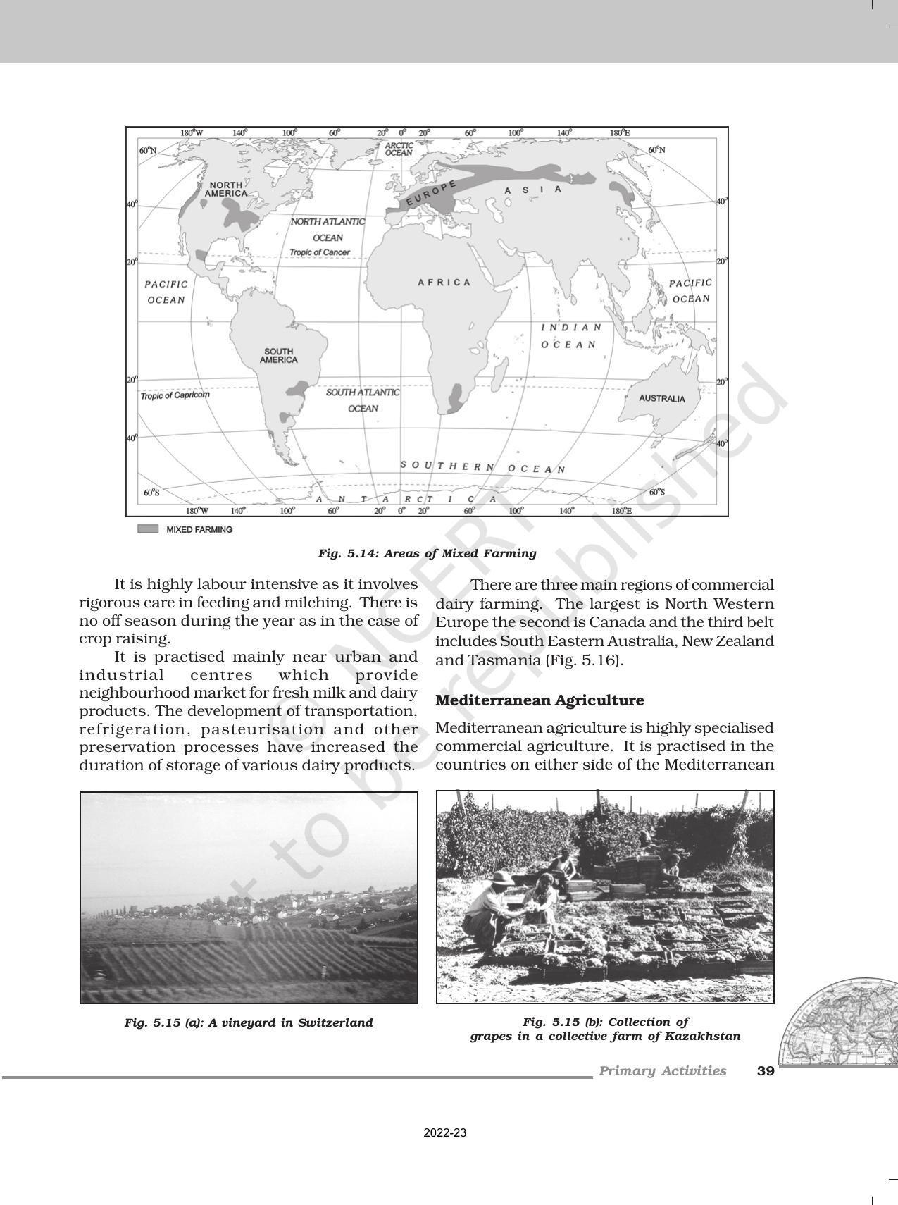 NCERT Book for Class 12 Geography (Part-1) Chapter 5 Primary Activities - Page 9