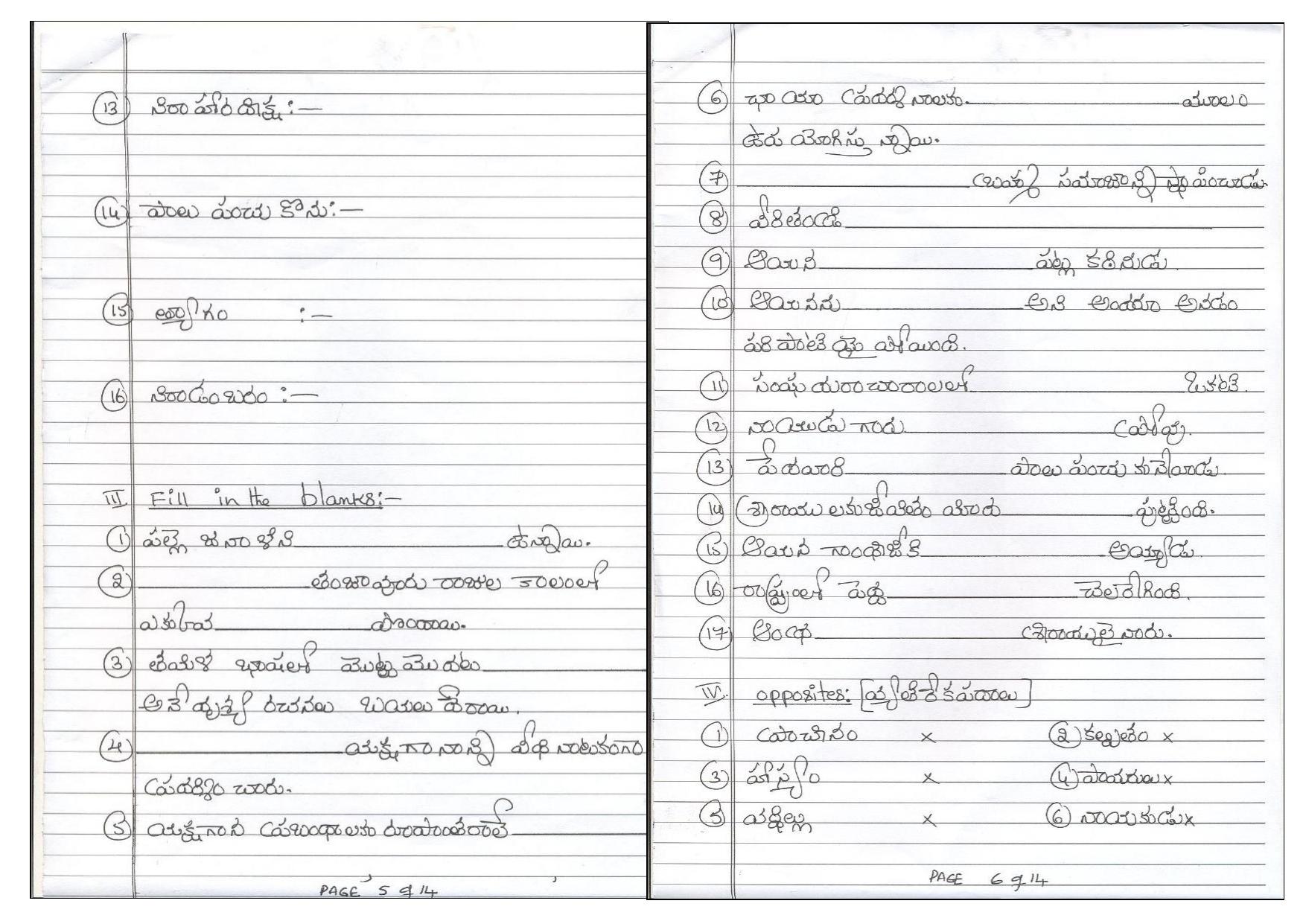 CBSE Worksheets for Class 8 Telegu Assignment 4 - Page 3